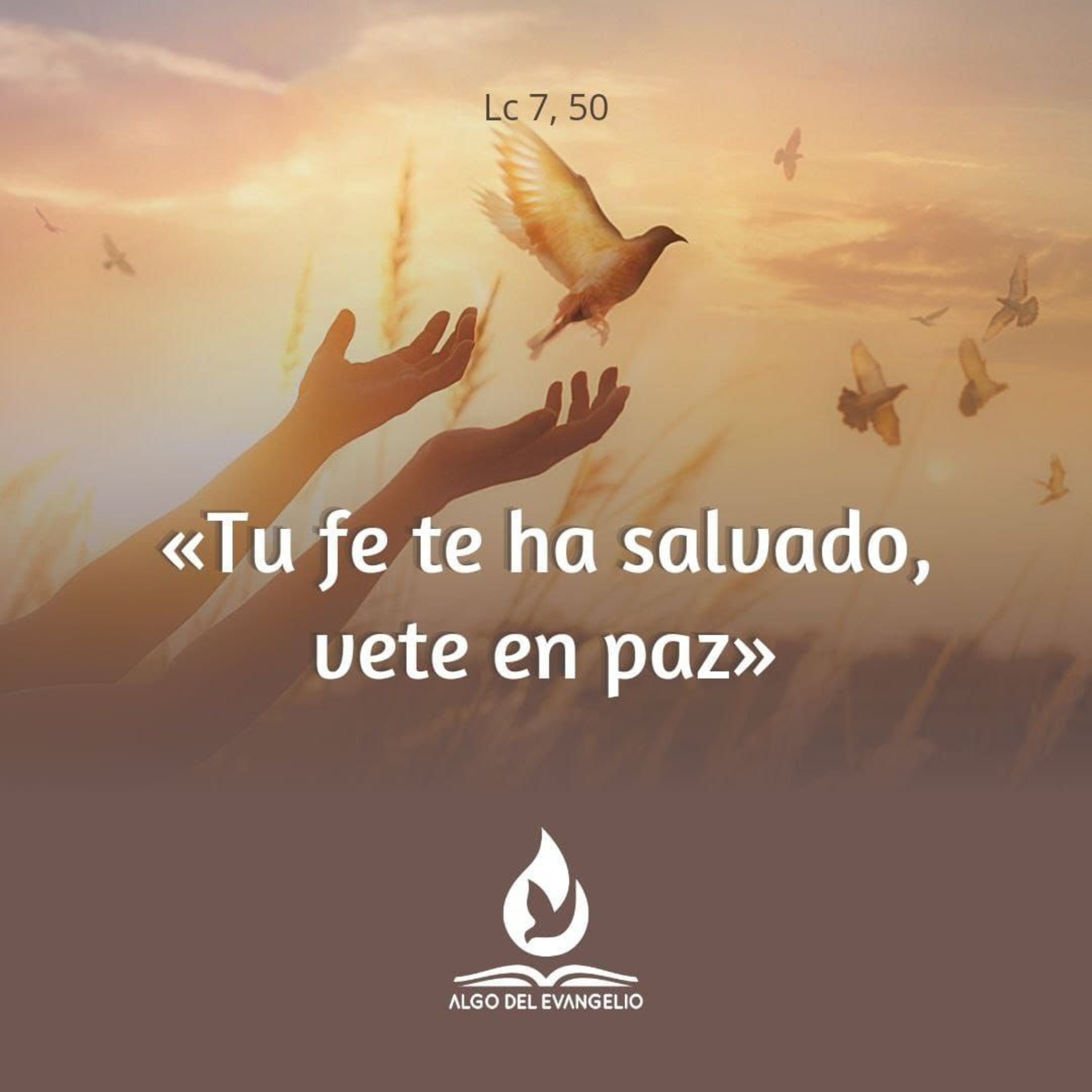 Algo del Evangelio
