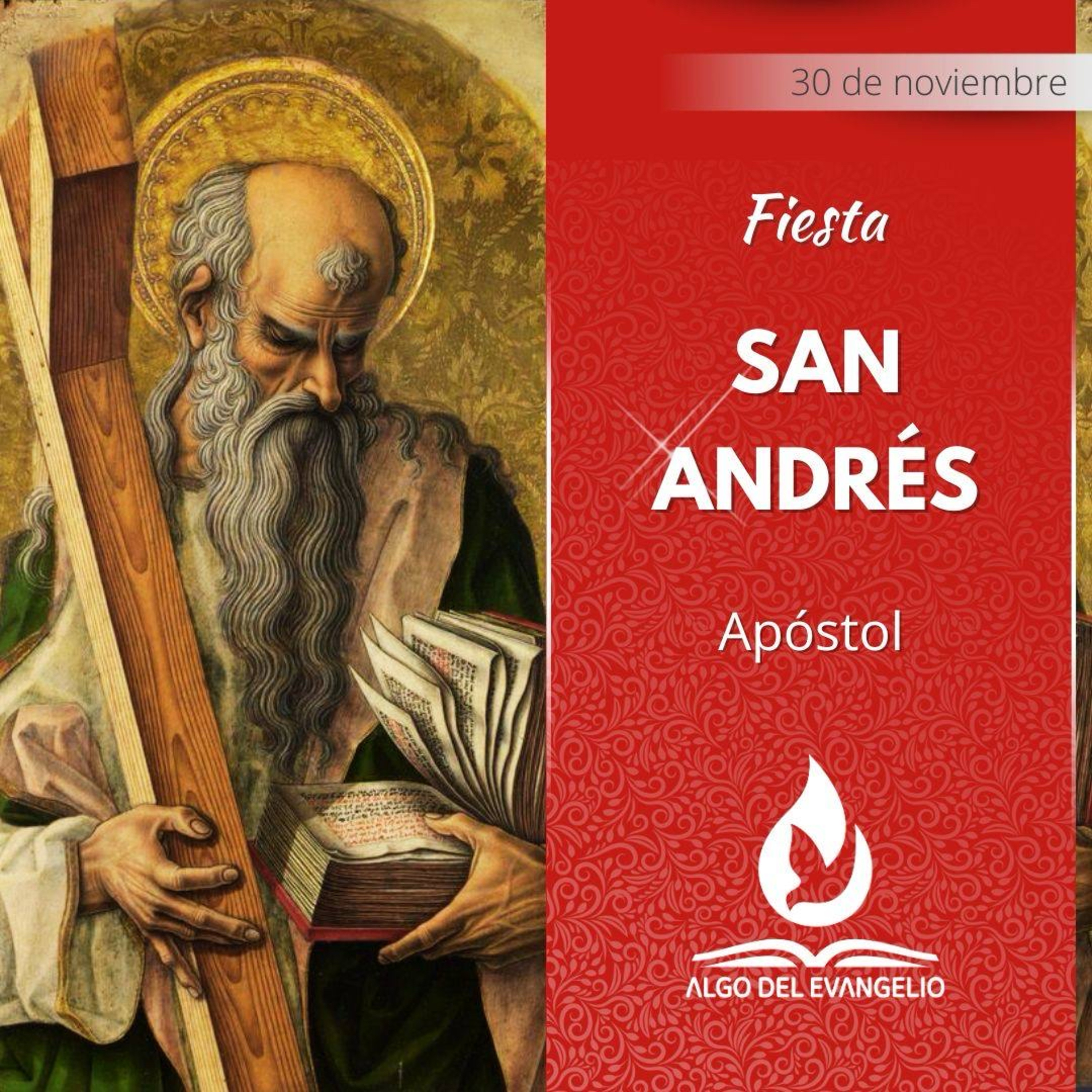 Mateo 4, 18-22 - Fiesta de San Andrés Apóstol  episode artwork