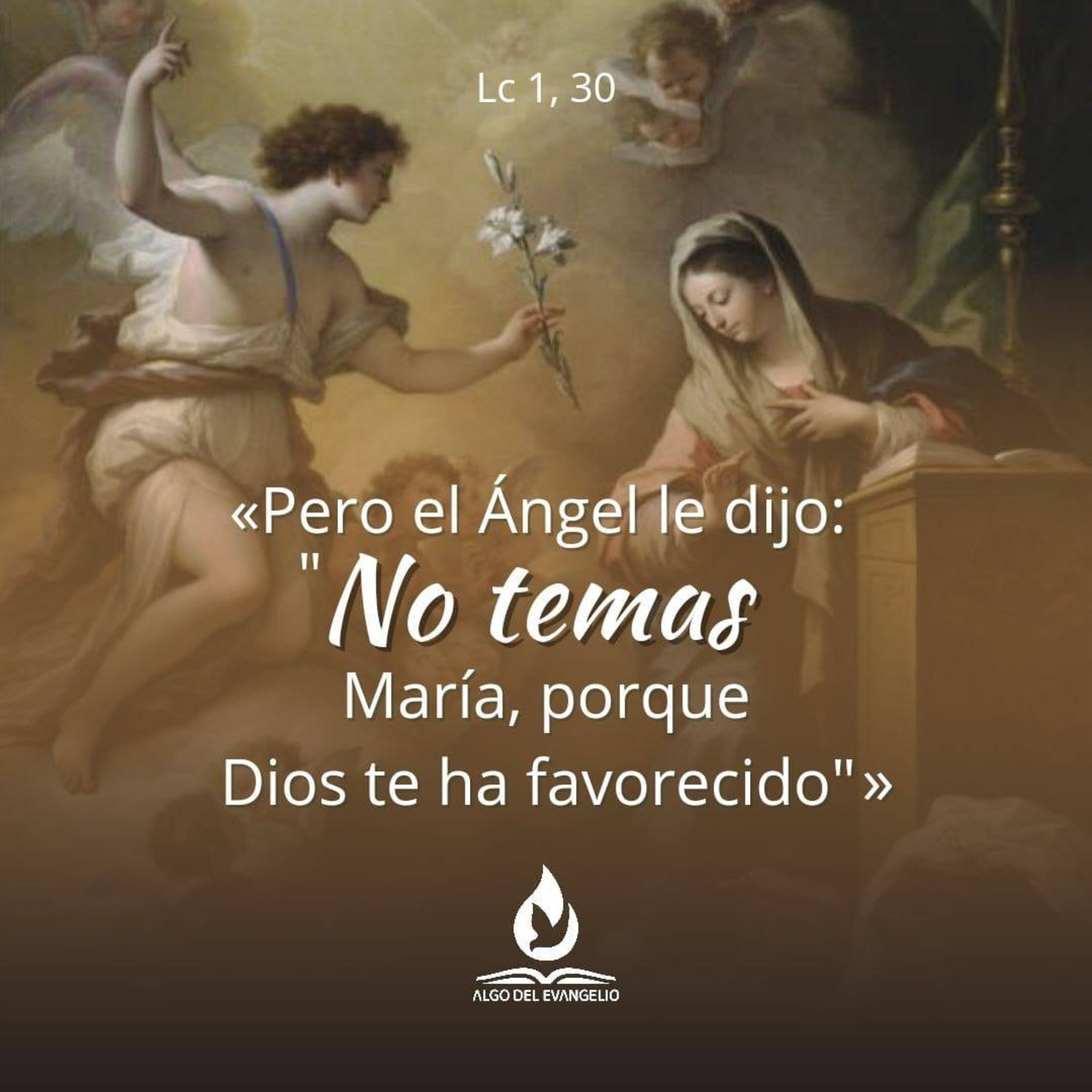 Algo del Evangelio