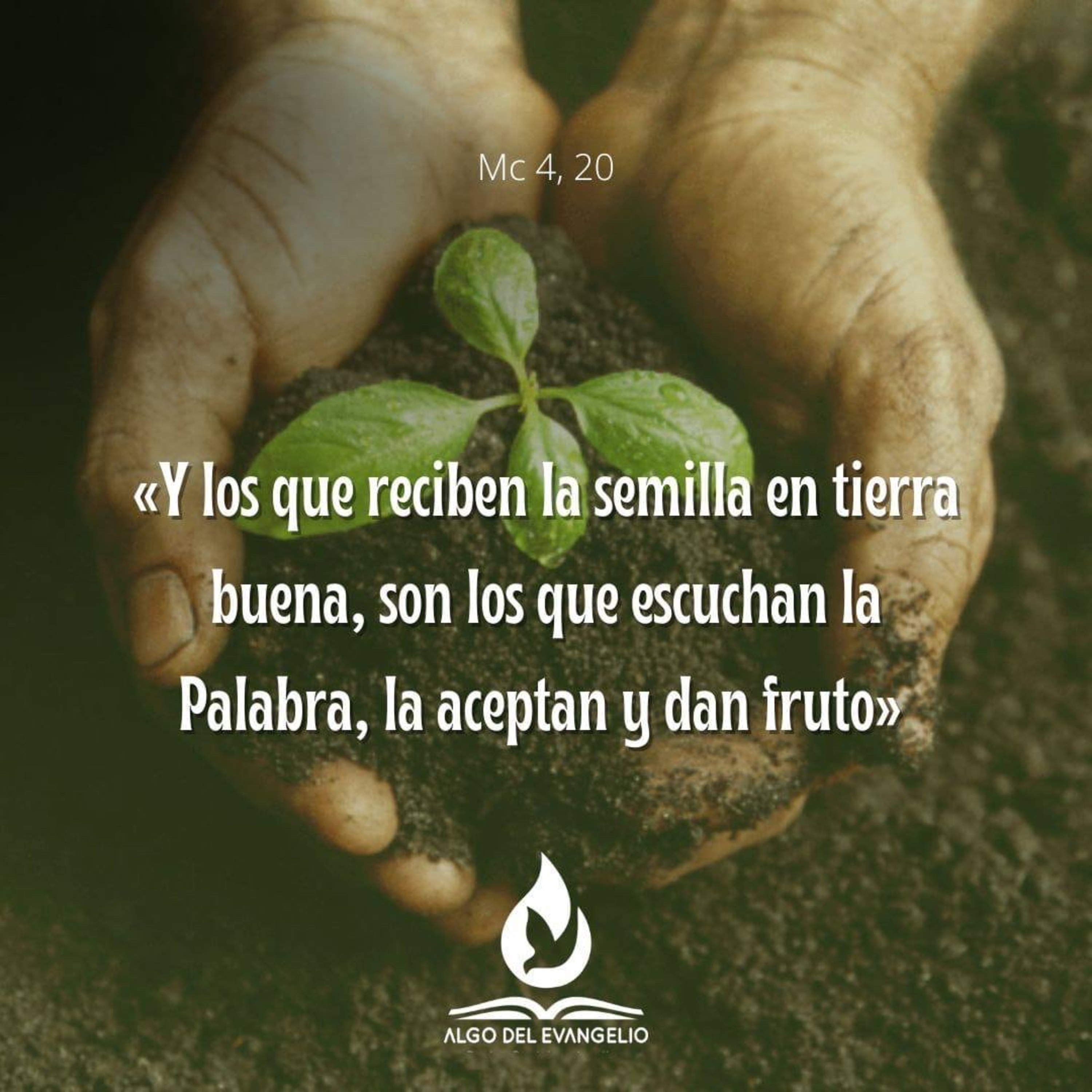 Algo del Evangelio