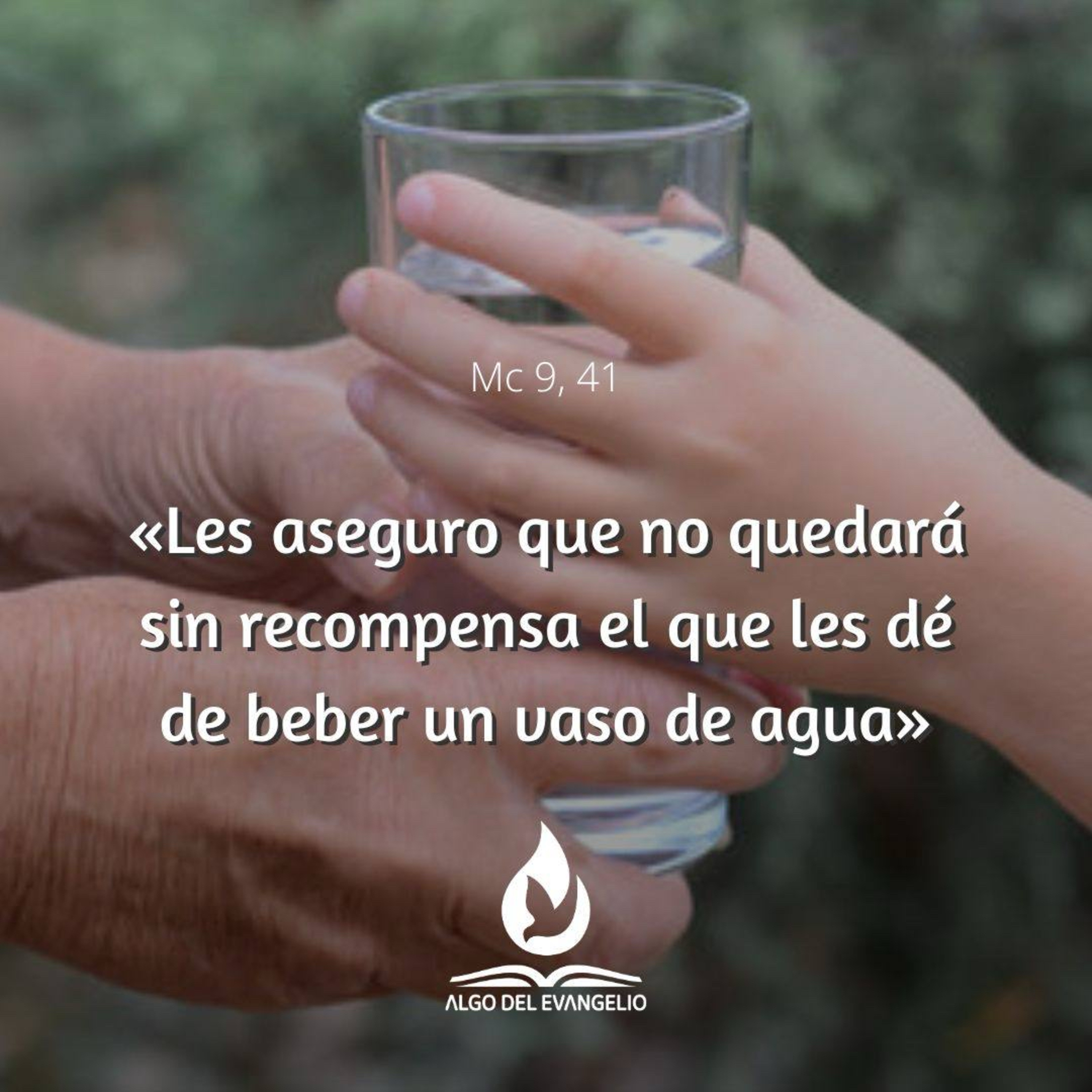 Algo del Evangelio