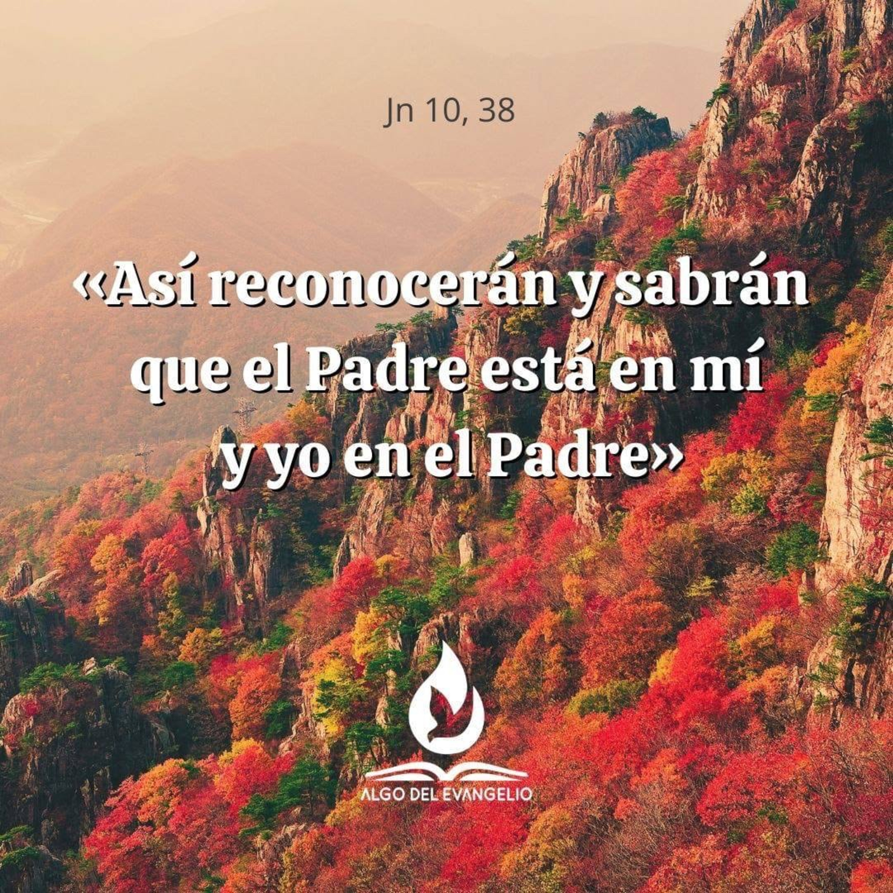 Algo del Evangelio