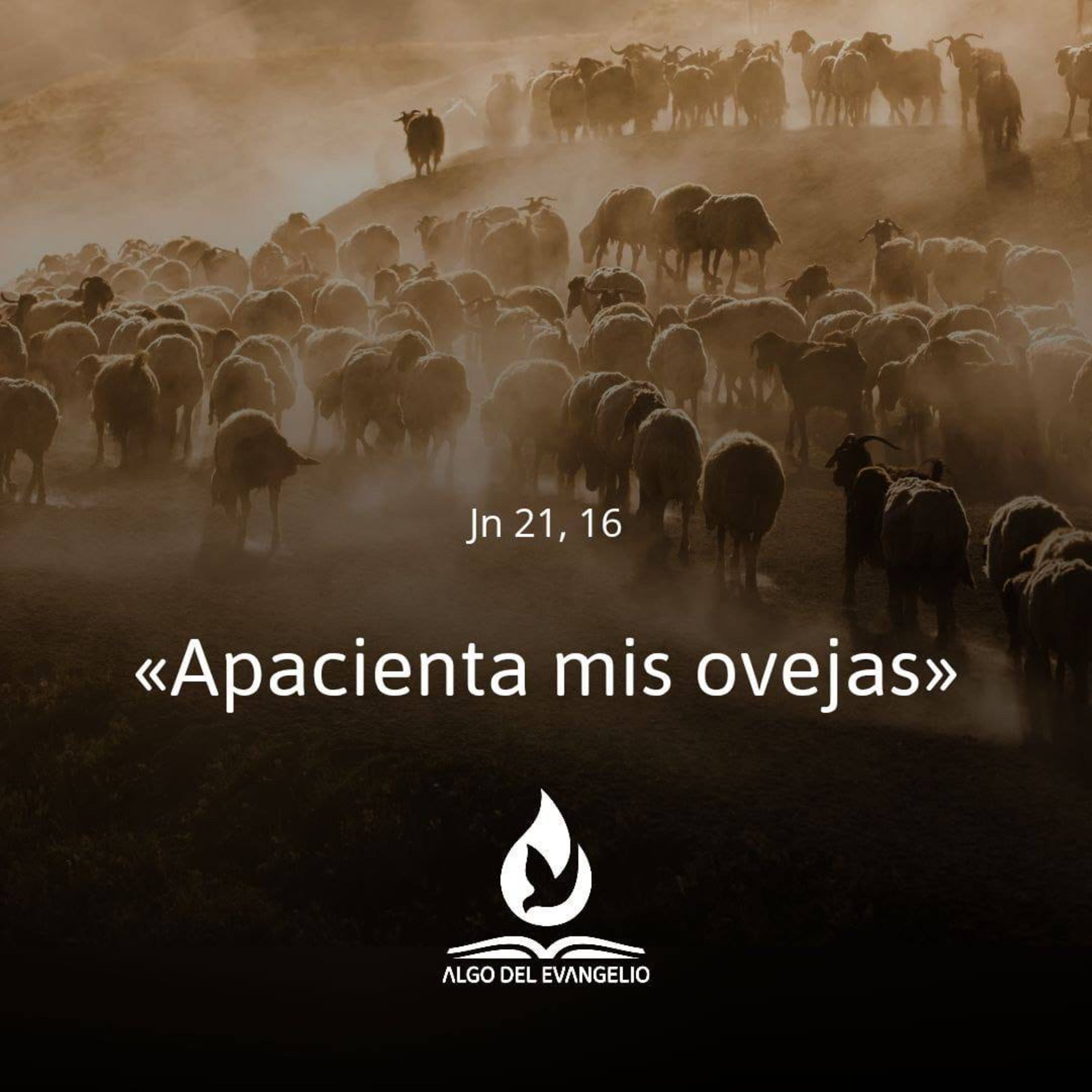 Algo del Evangelio