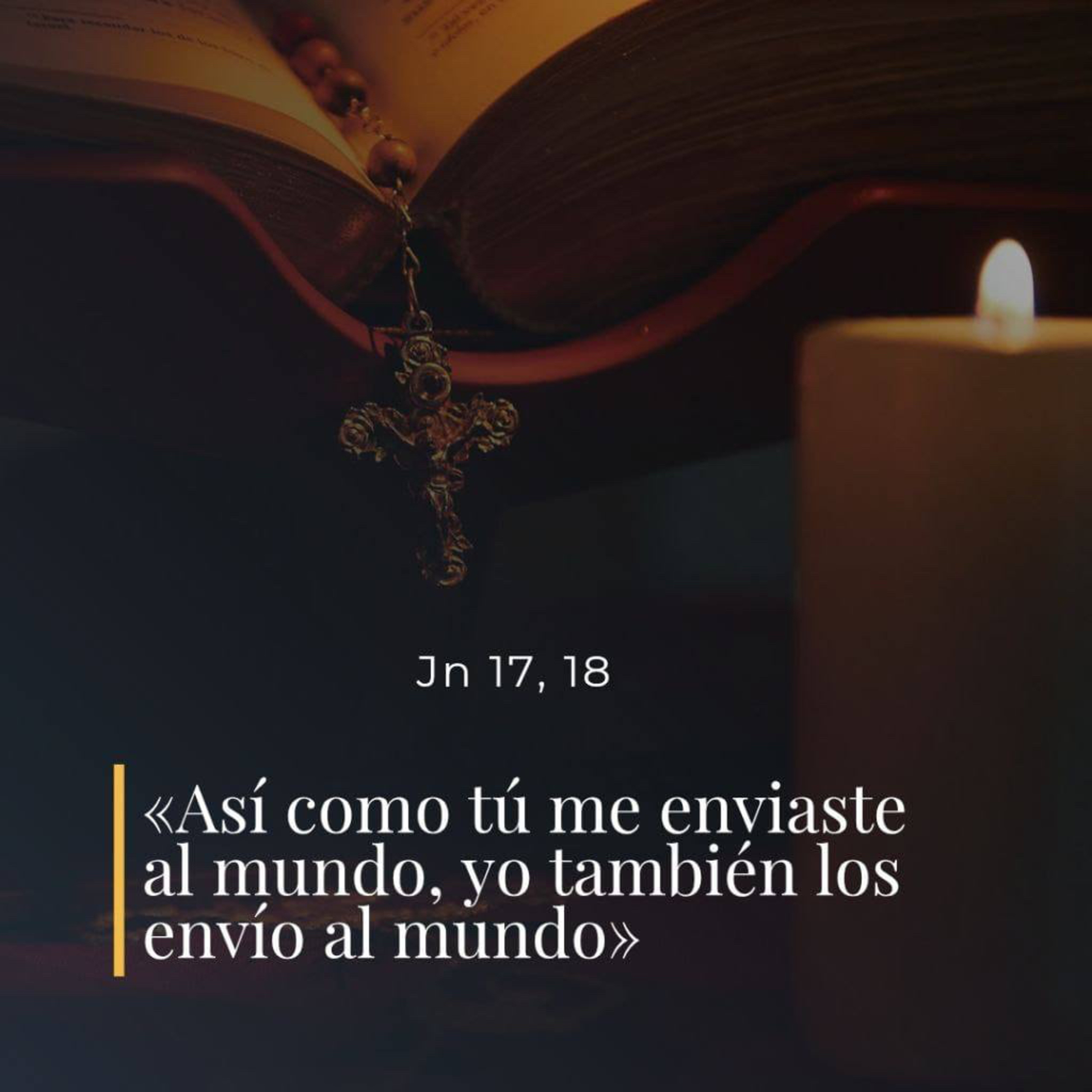 Juan 17, 11-19 - VII Miércoles de Pascua  episode artwork