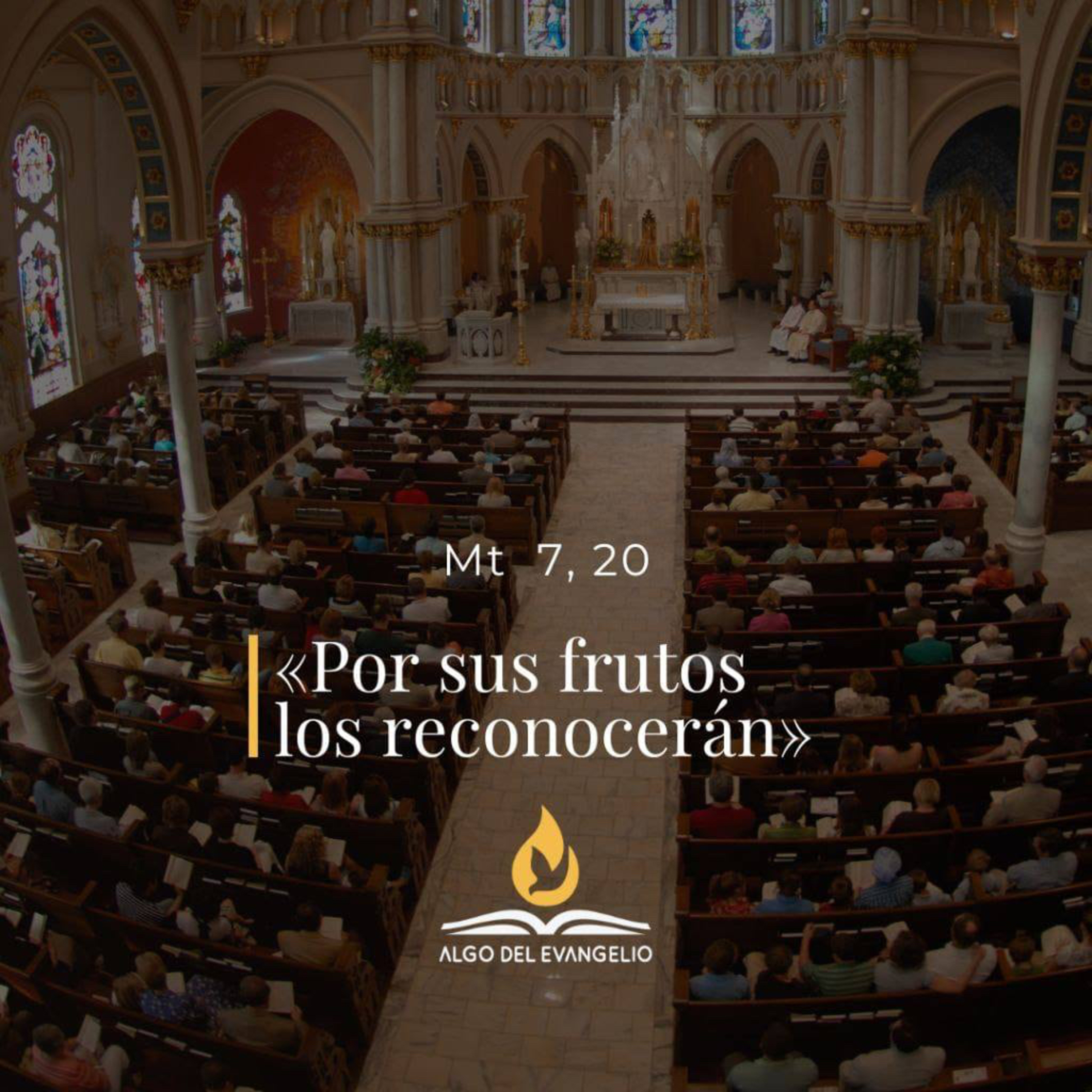 Algo del Evangelio