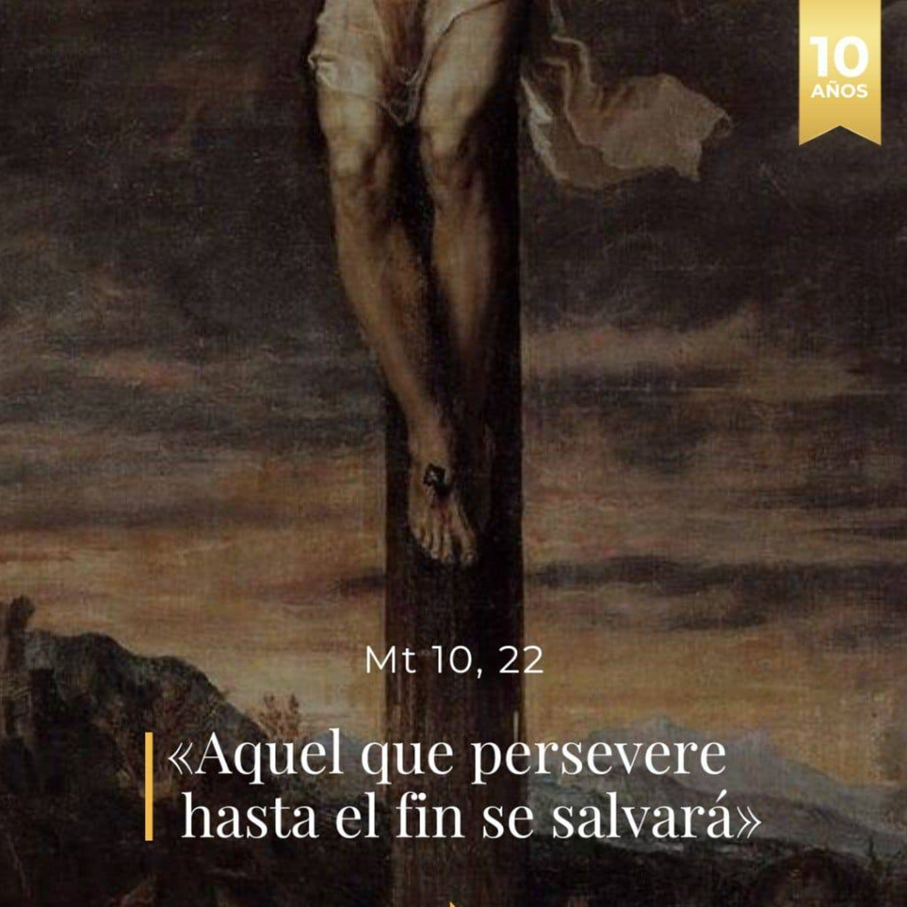 Mateo 10, 16-23 - XIV Viernes del Tiempo Ordinario  episode artwork