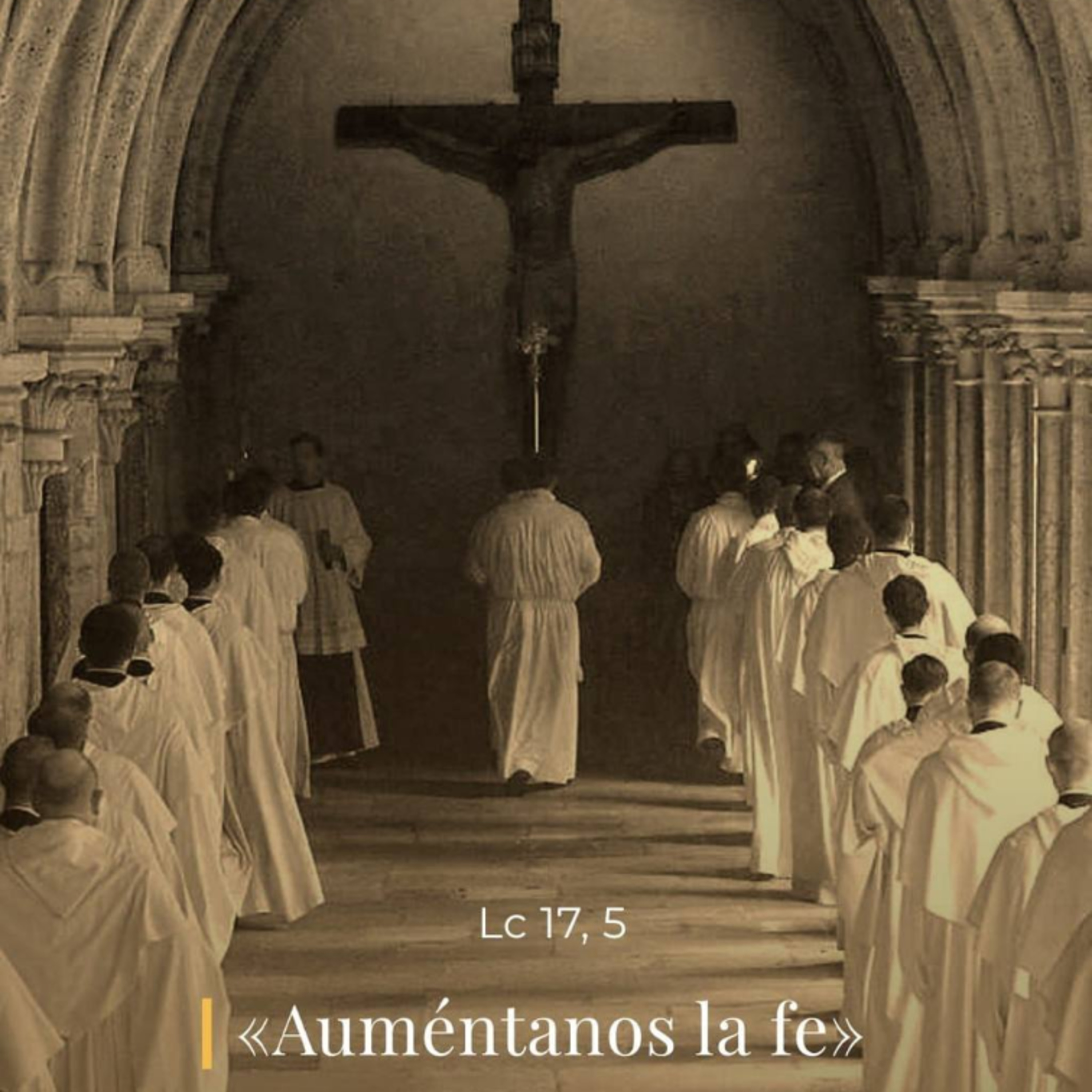 Lucas 17, 3b-10 - XXVII Domingo del TiempoOrdinario (C)  episode artwork