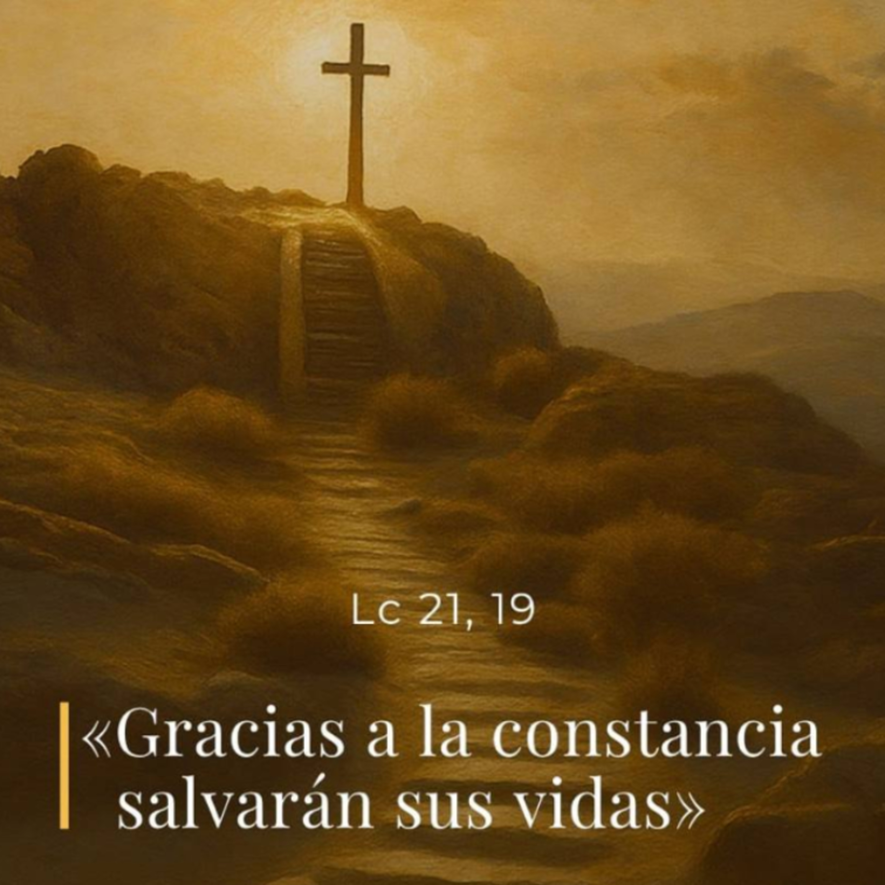 Lucas 21, 5-19 - XXXIII Domingo del Tiempo Ordinario (C) episode artwork