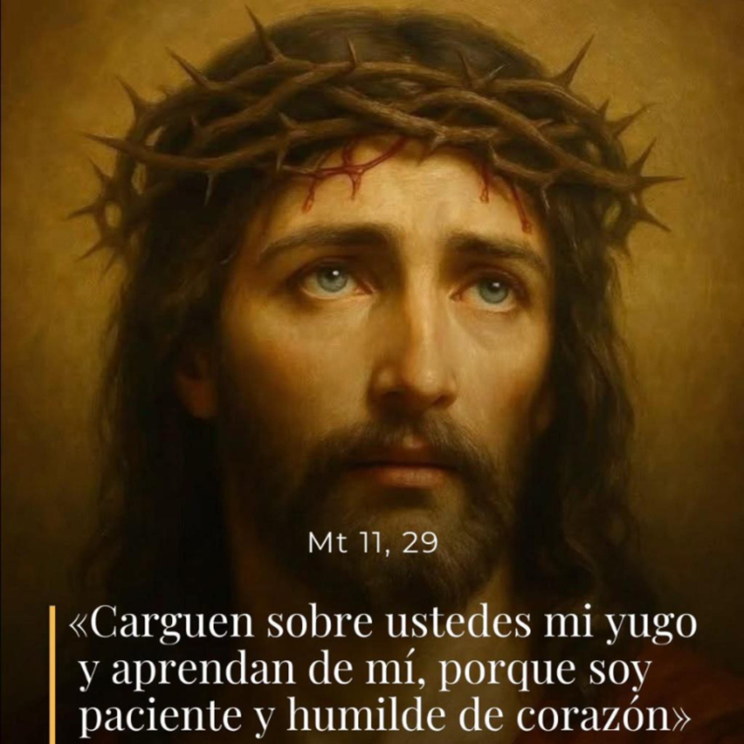 Mateo 11, 28-30 - II Miércoles de Adviento  episode artwork