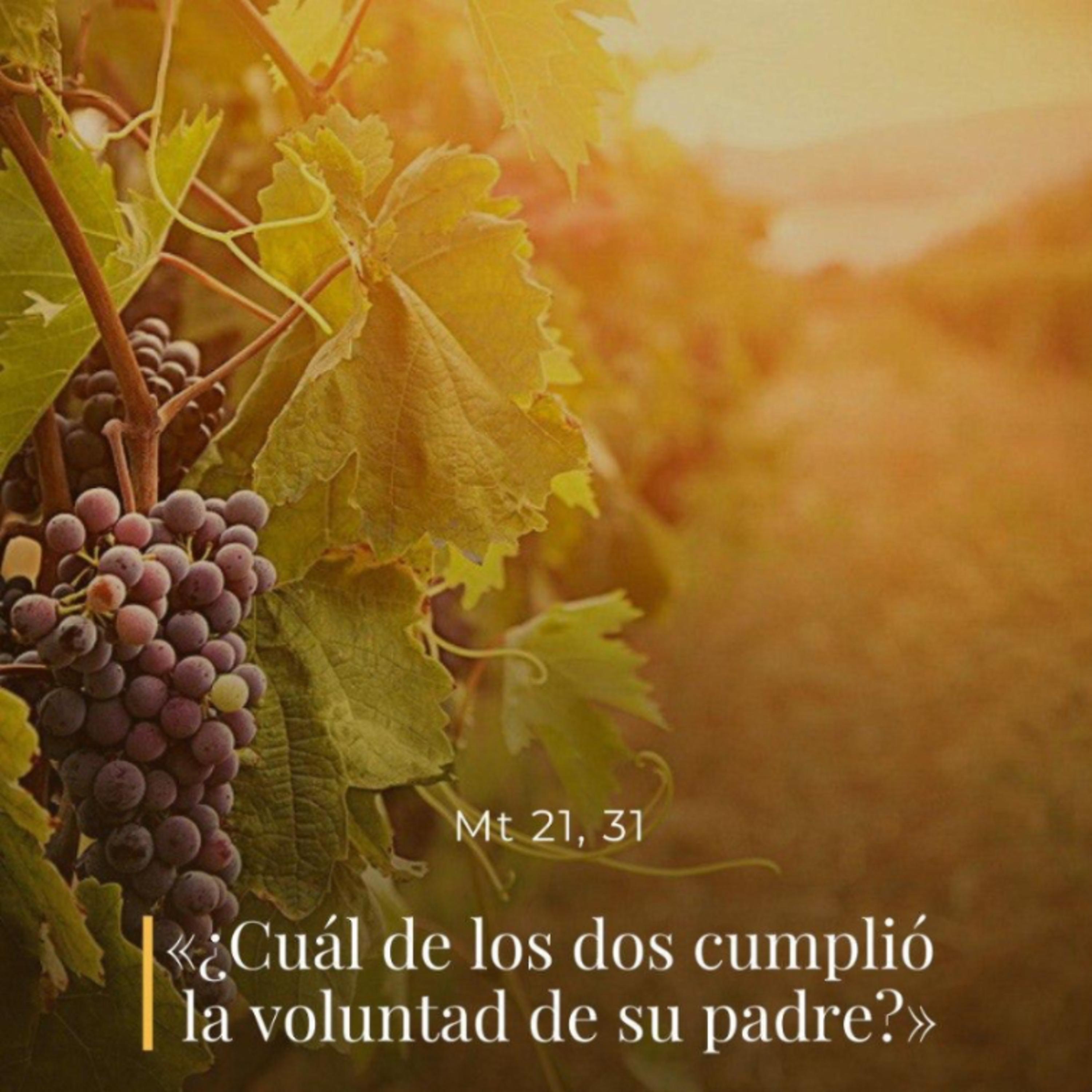 Mateo 21, 28-32 – III Martes de Adviento episode artwork