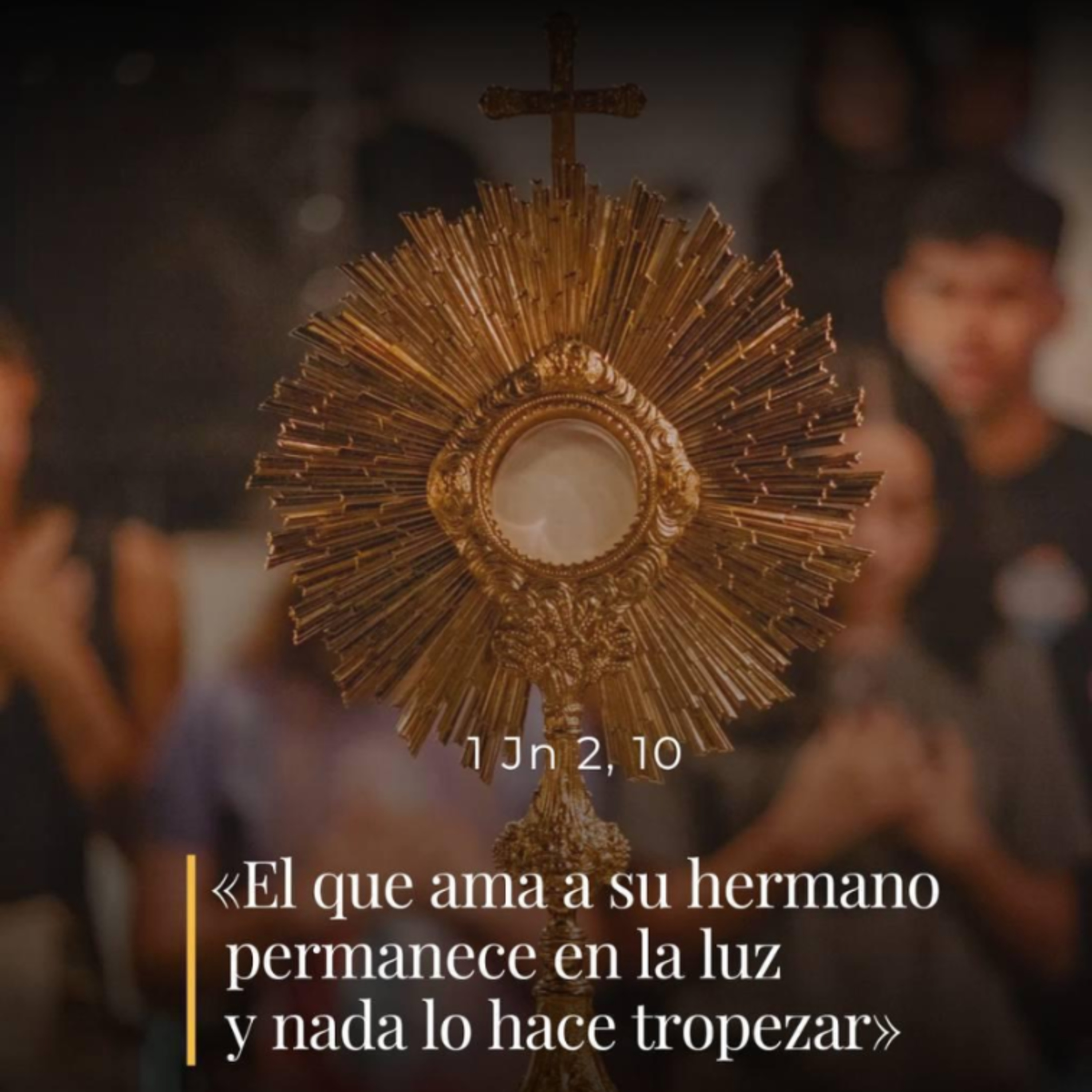 1Jn 2, 3-11 - Día V de la octava de Navidad episode artwork