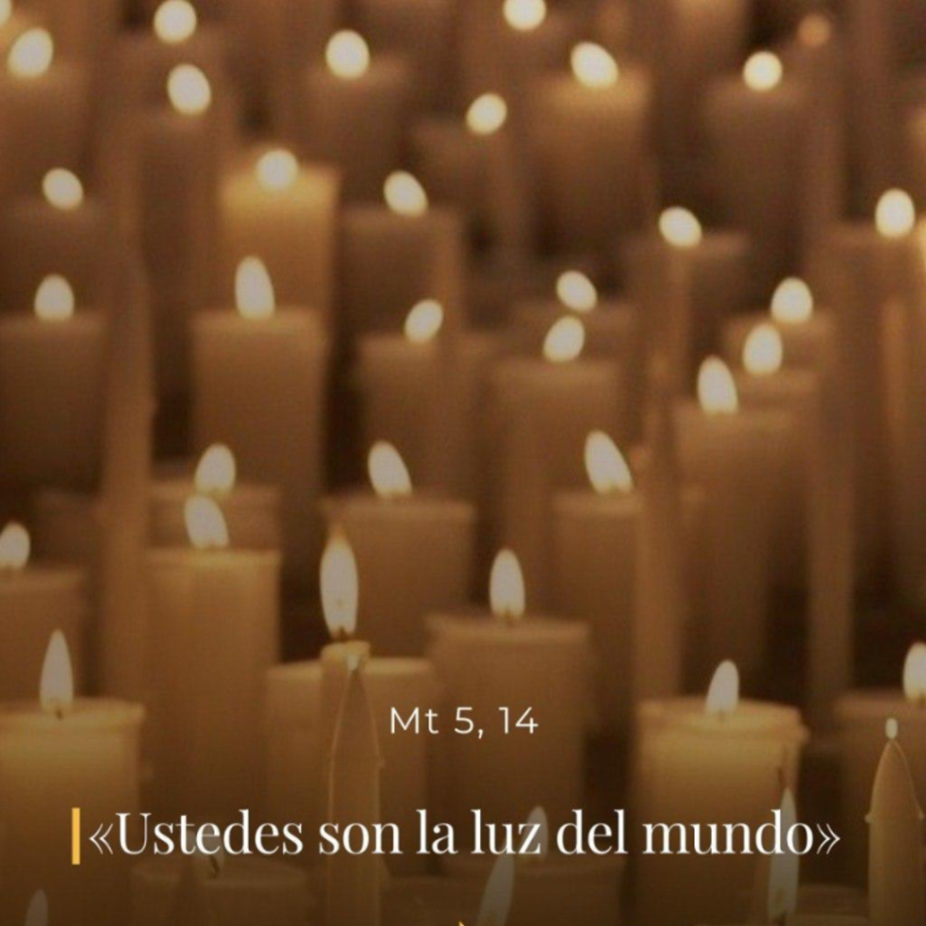 Mateo 5, 13-16 – V Domingo del Tiempo Ordinario (A) episode artwork