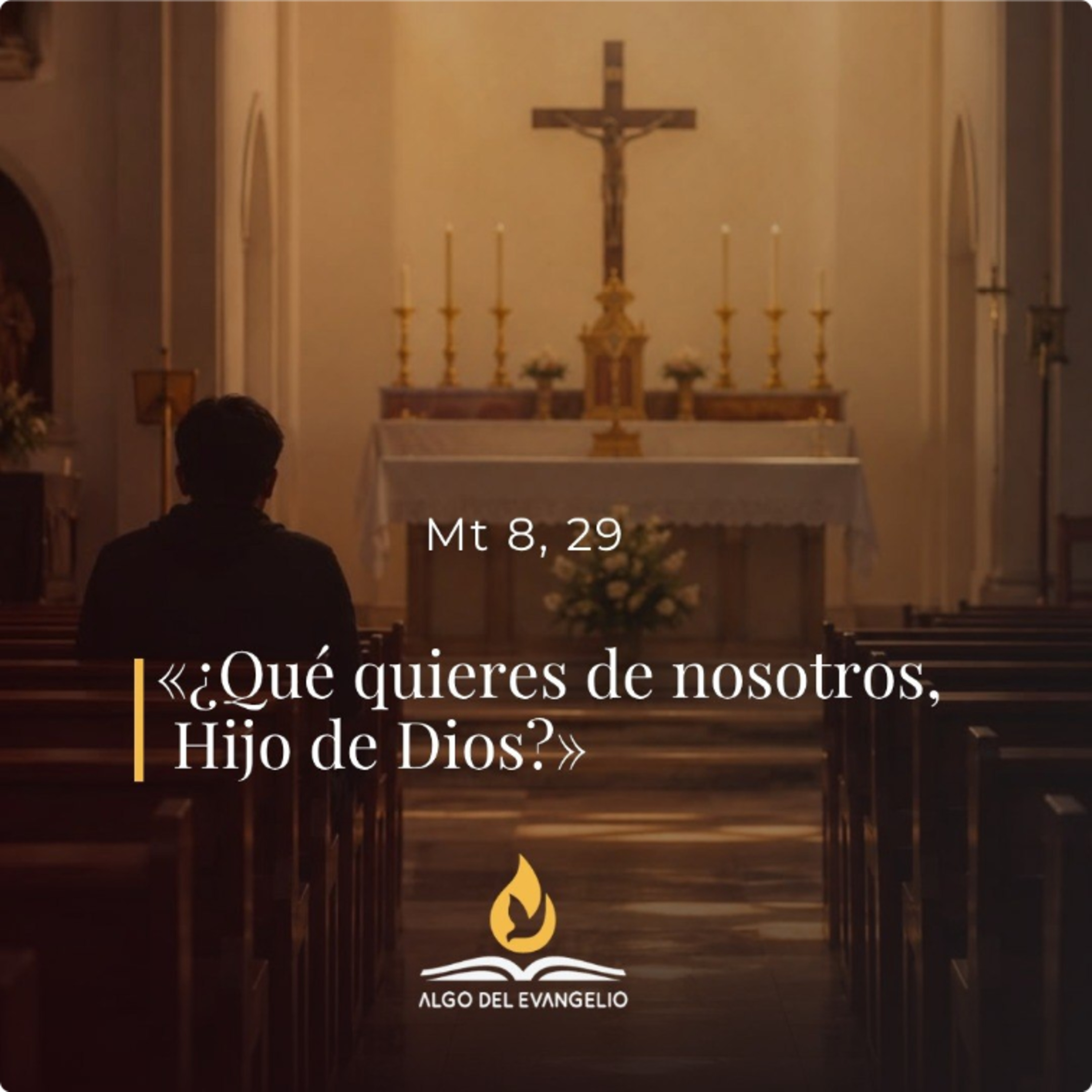 Mateo 8, 28-34 – XIII Miércoles del Tiempo Ordinario episode artwork