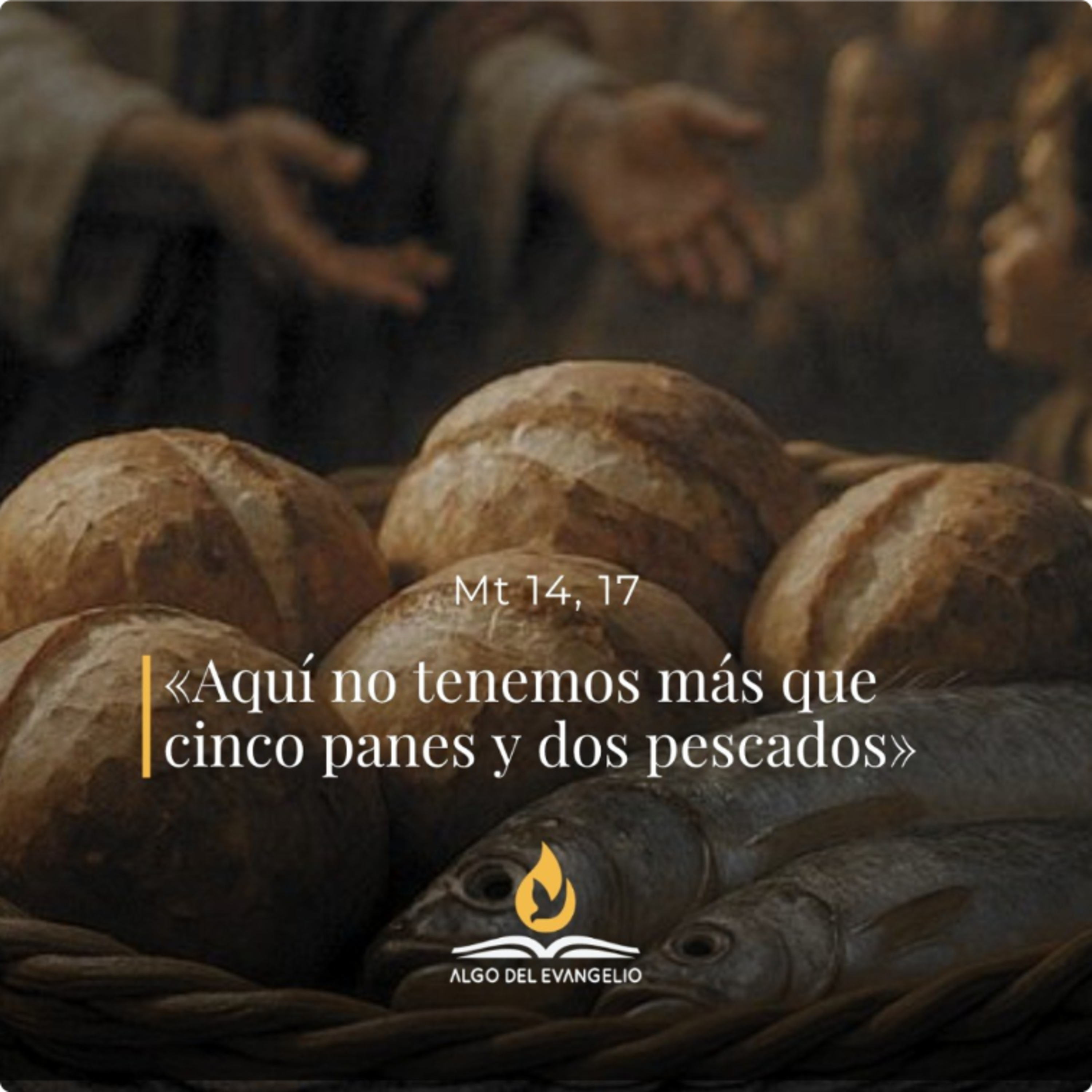 Mateo 14, 13-21 – XVIII Domingo del Tiempo Ordinario (A) episode artwork