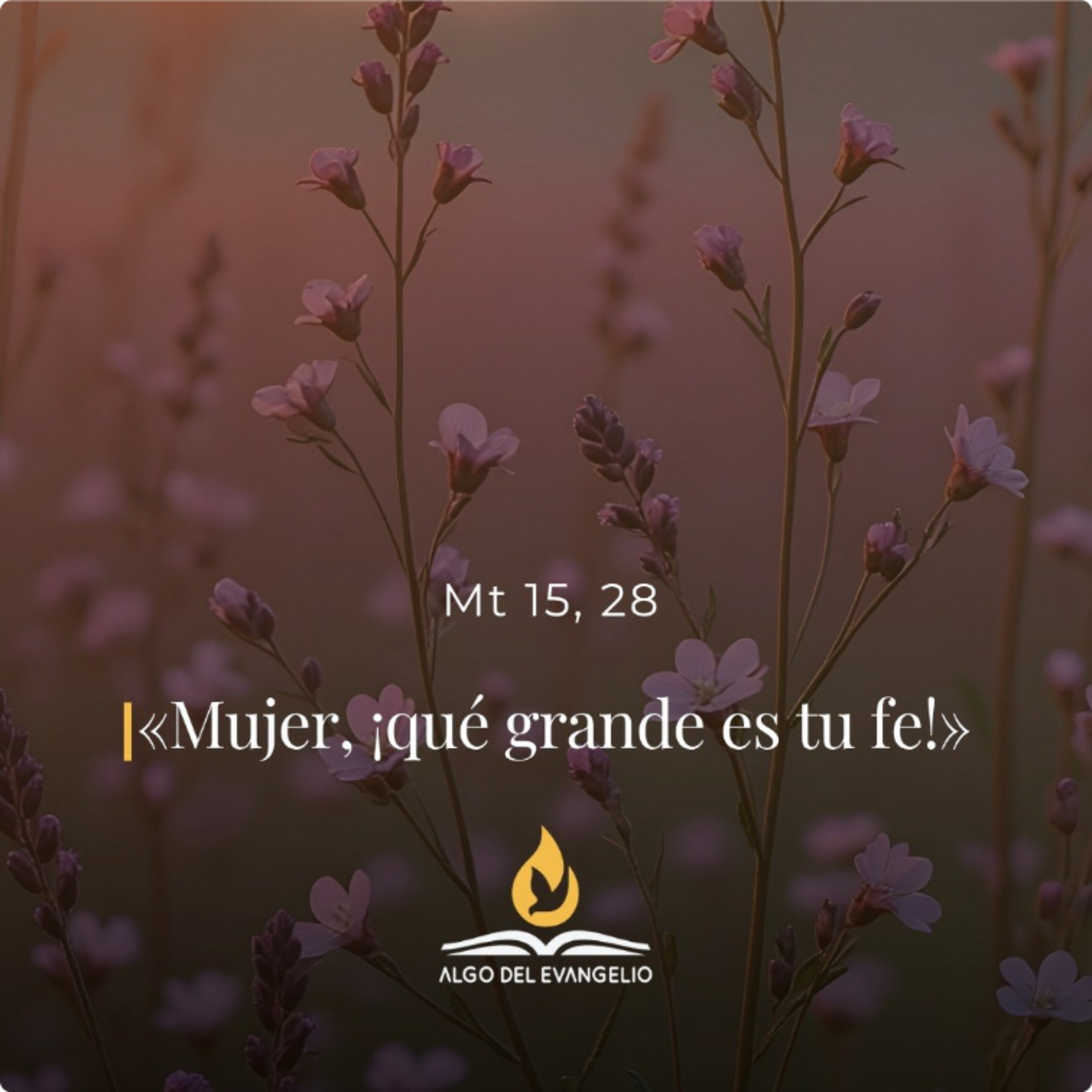 Mateo 15, 21-28 – XVIII Miércoles del Tiempo Ordinario  episode artwork