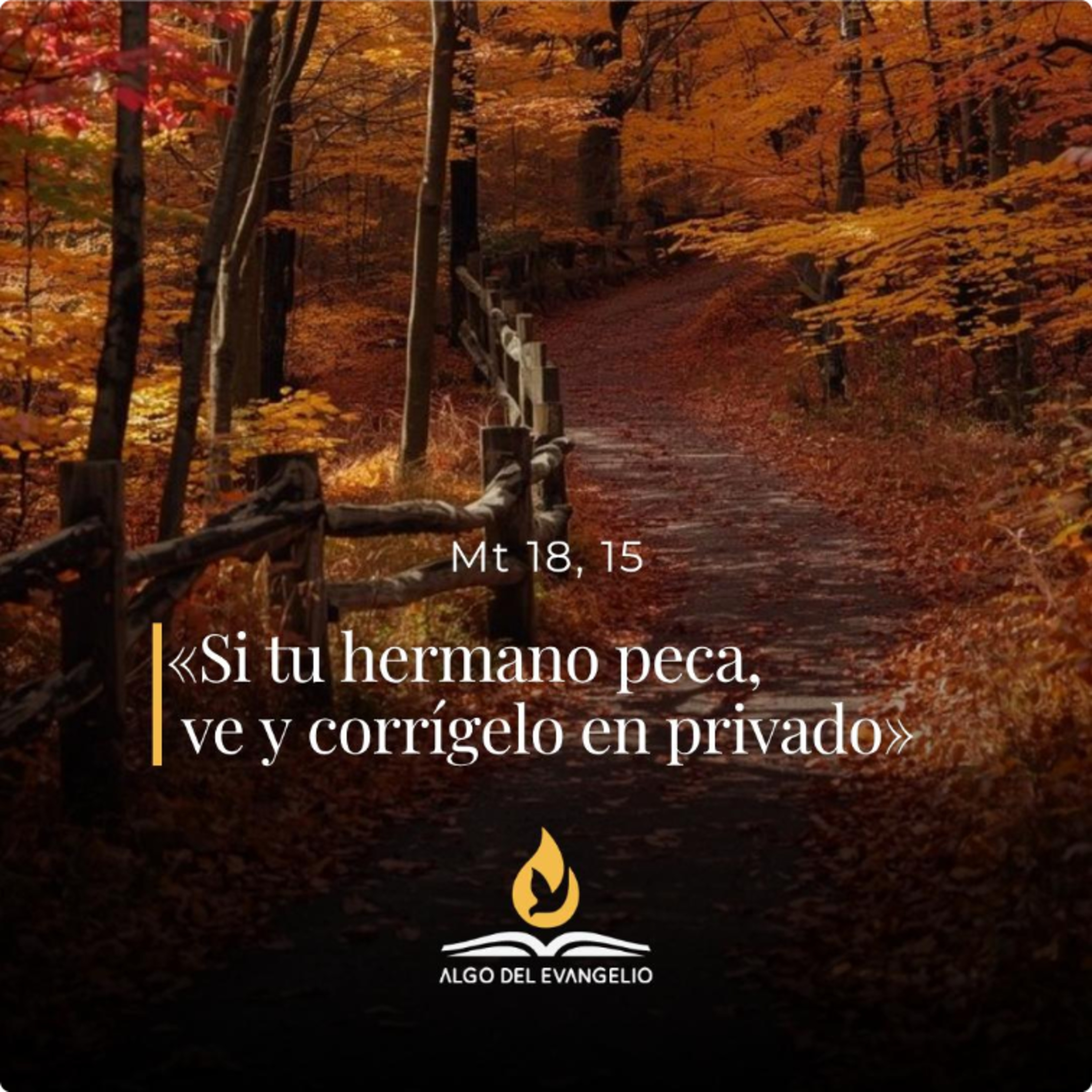 Mateo 18, 15-20 – XIX Miércoles del Tiempo Ordinario  episode artwork