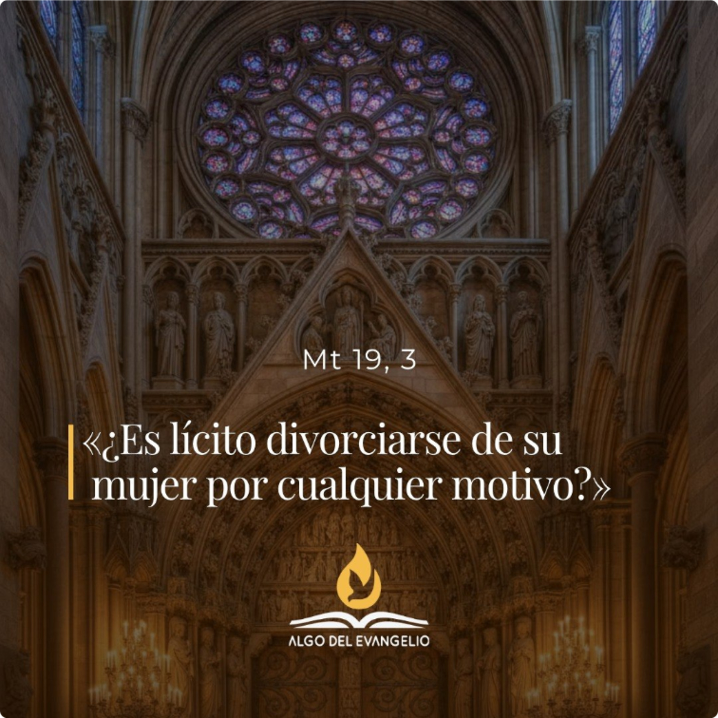 Mateo 19, 3-12 - XIX Viernes del Tiempo Ordinario episode artwork
