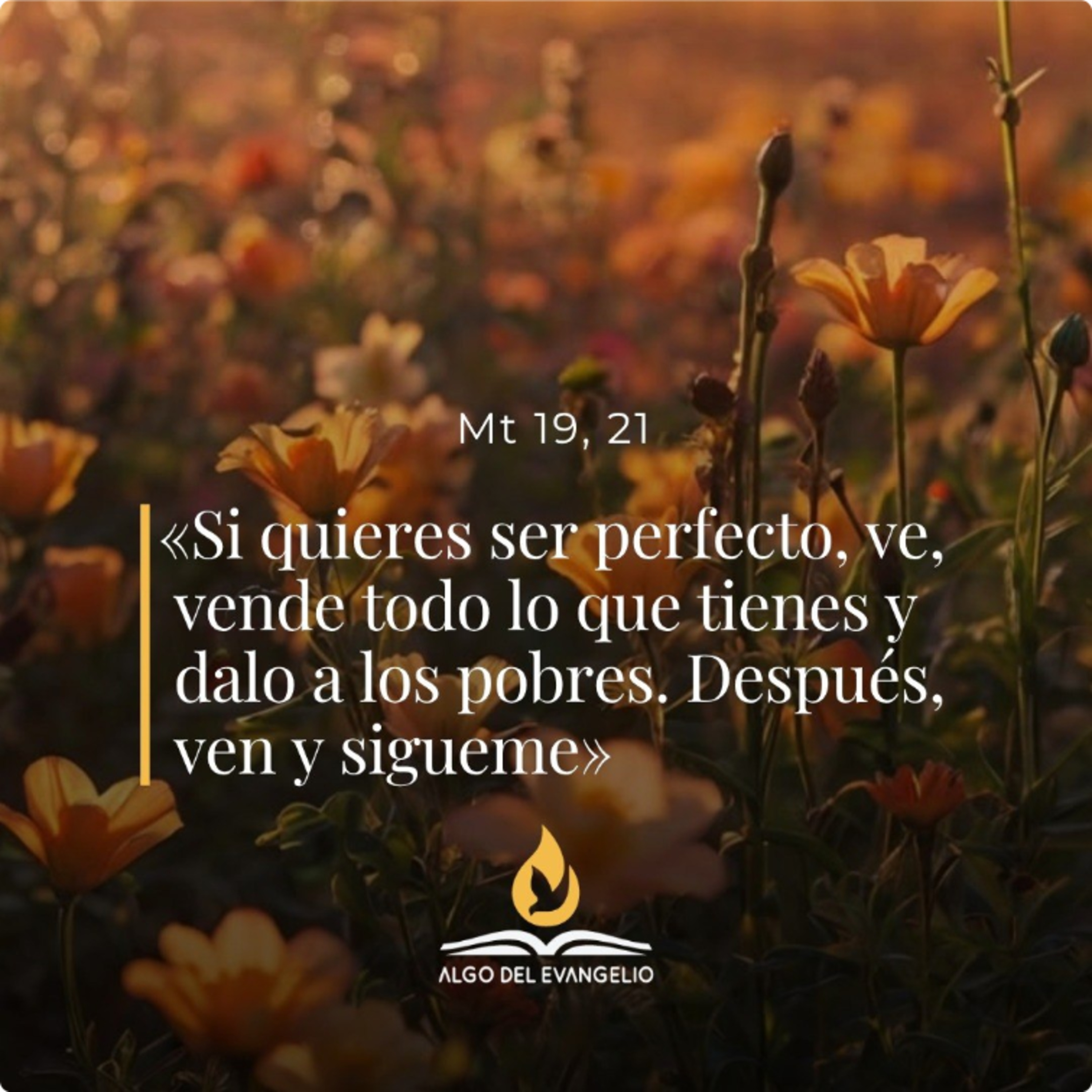 Mateo 19, 16-22 - XX Lunes del Tiempo Ordinario episode artwork
