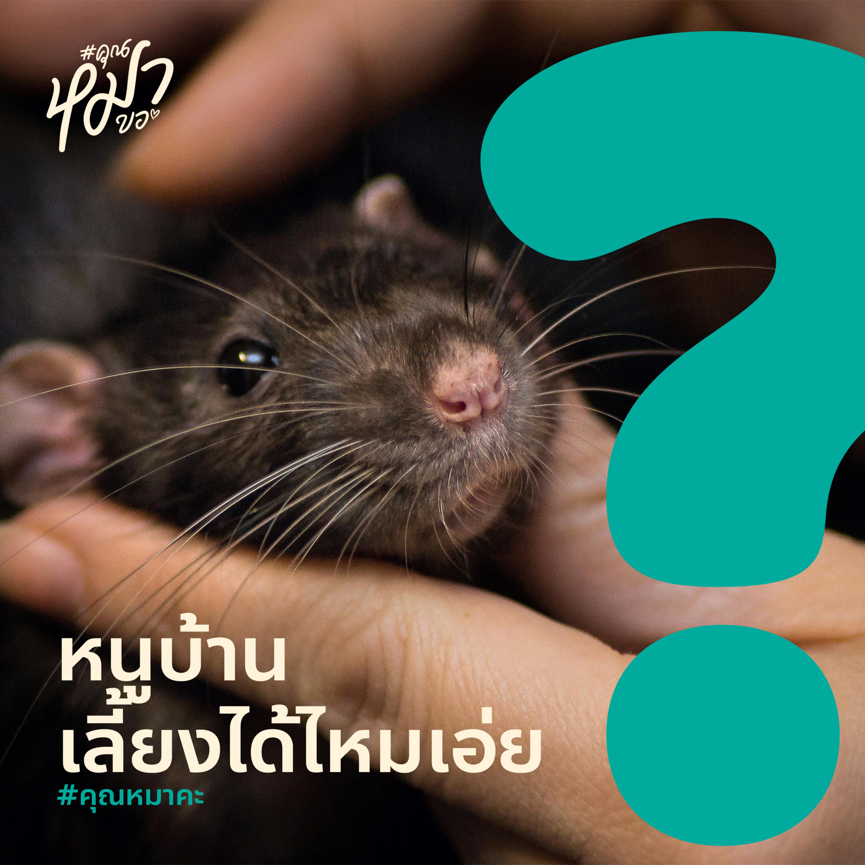 #คุณหมอขา