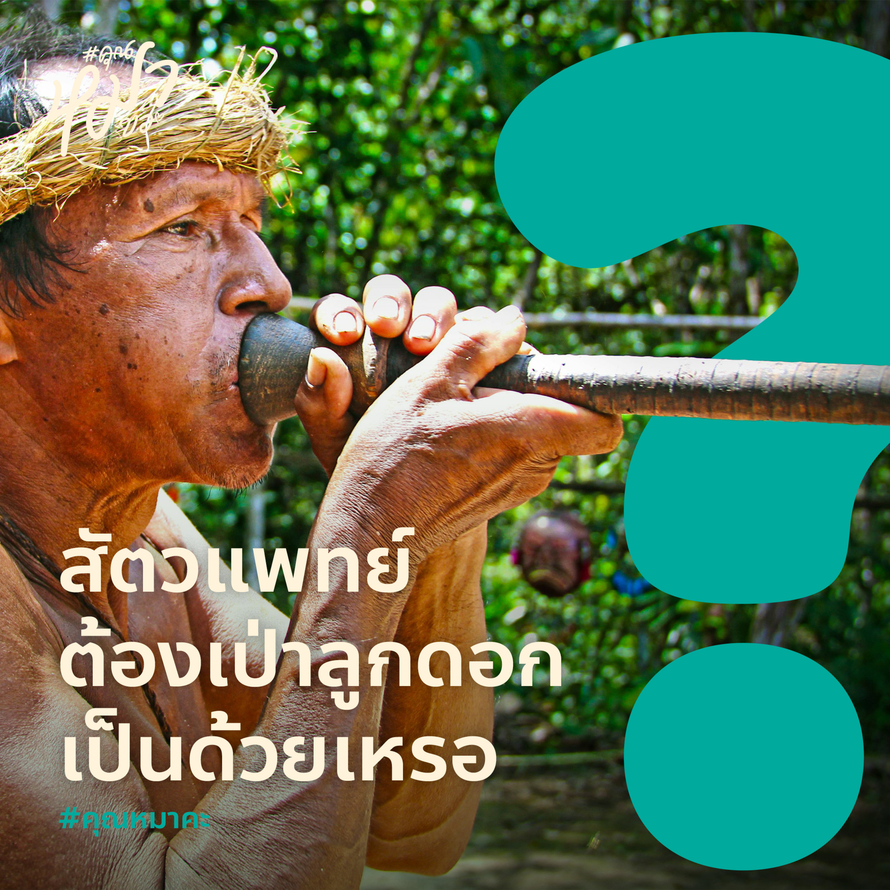 #คุณหมอขา