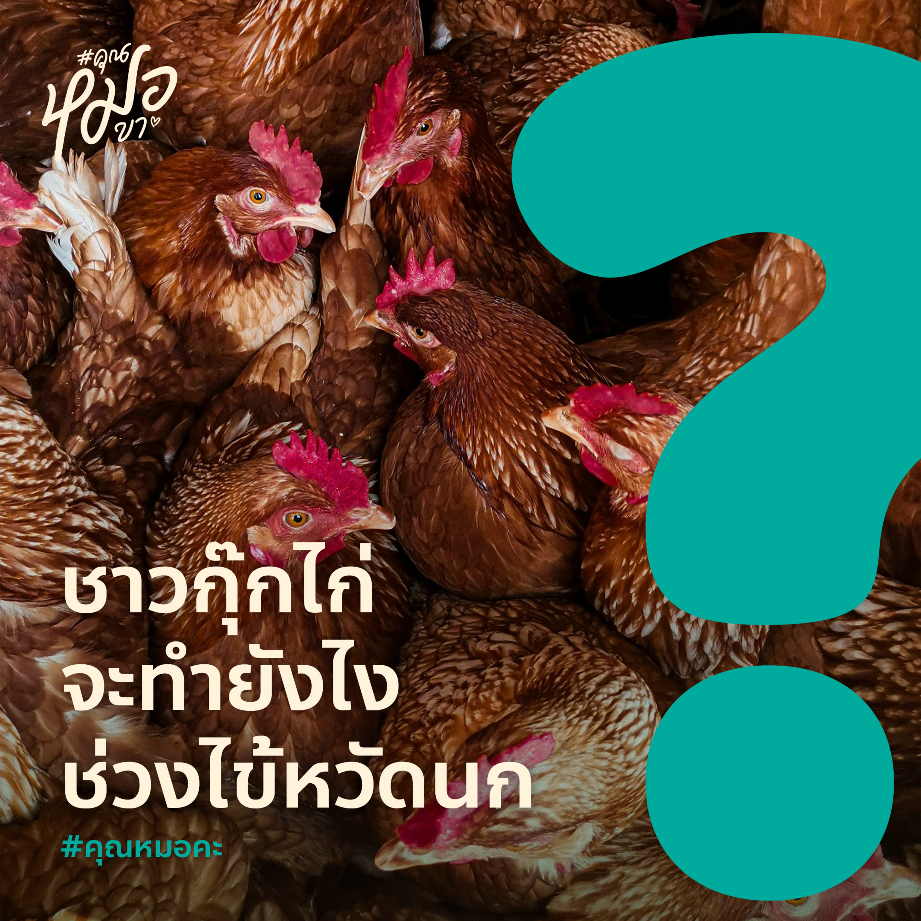 #คุณหมอขา