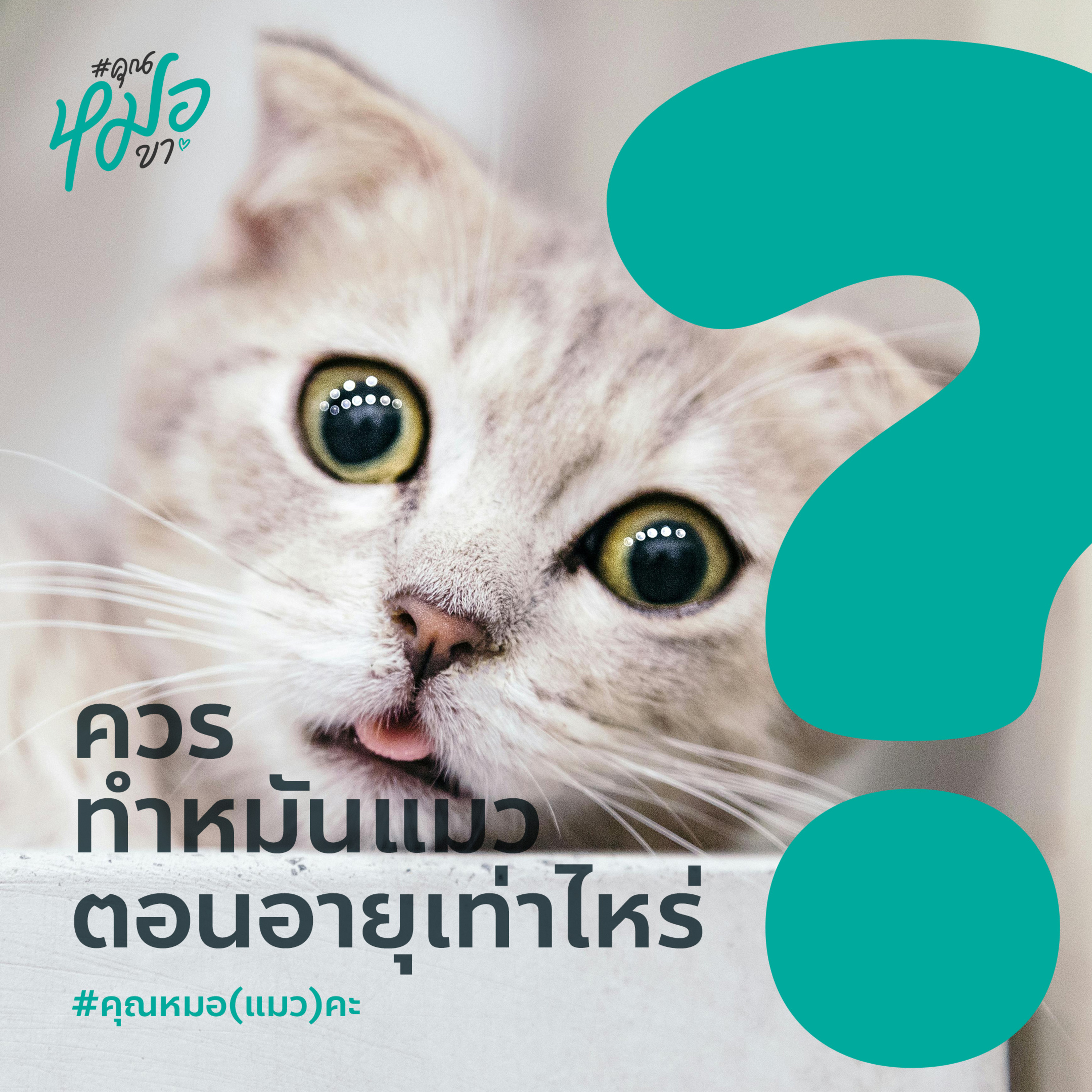 #คุณหมอขา