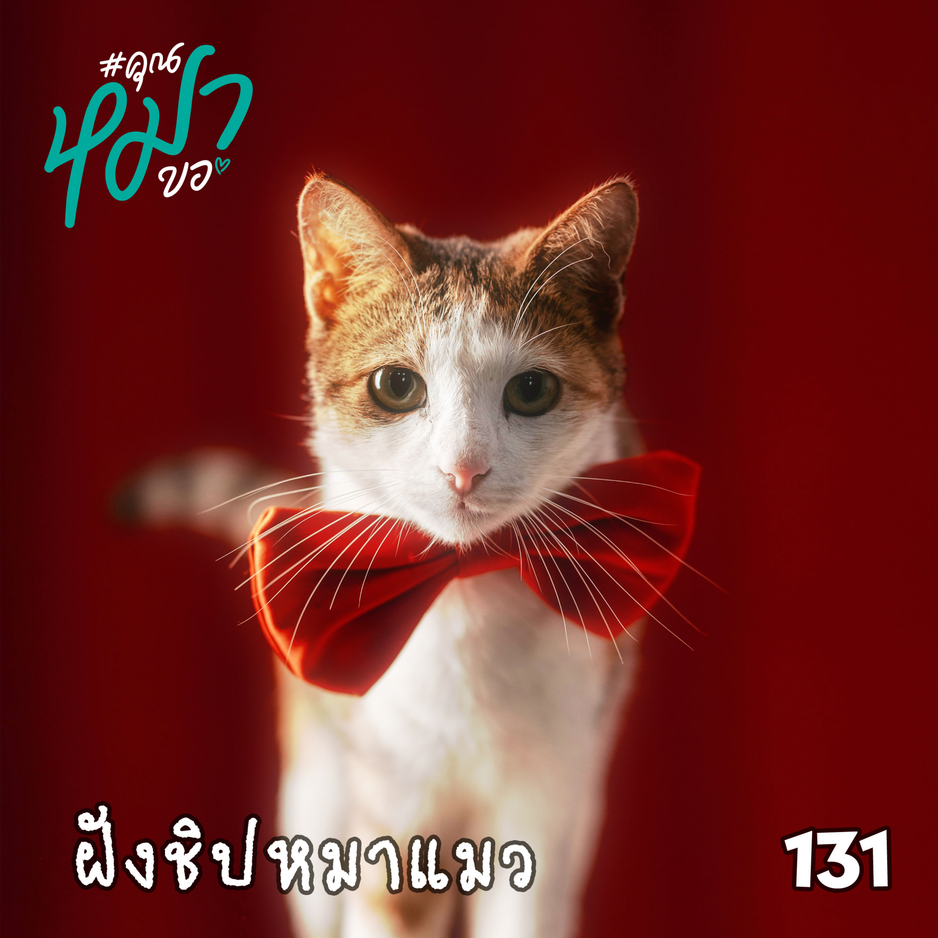 #คุณหมาขอ 131 : ฝังชิปหมาแมว