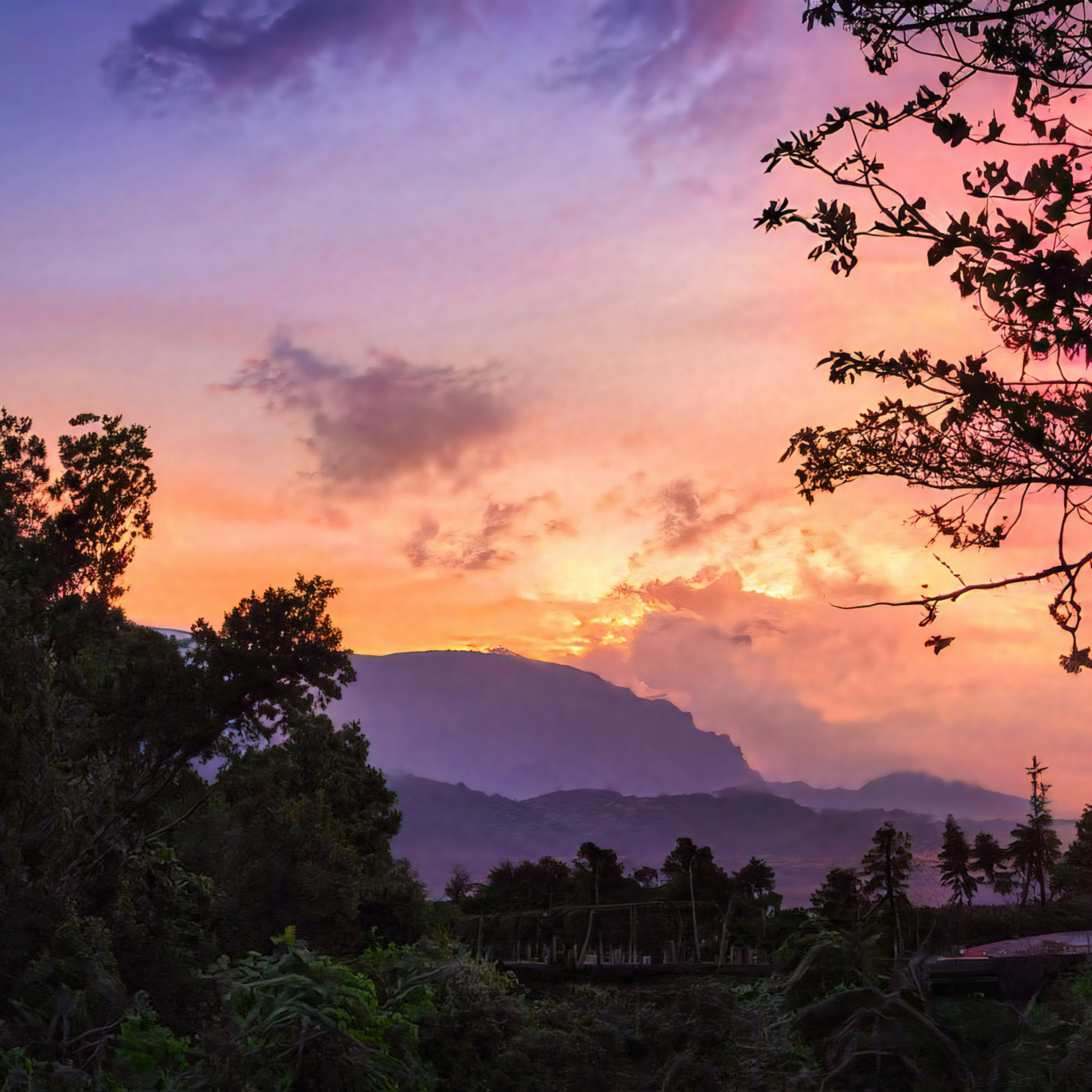 Night in the jungle of Philippines