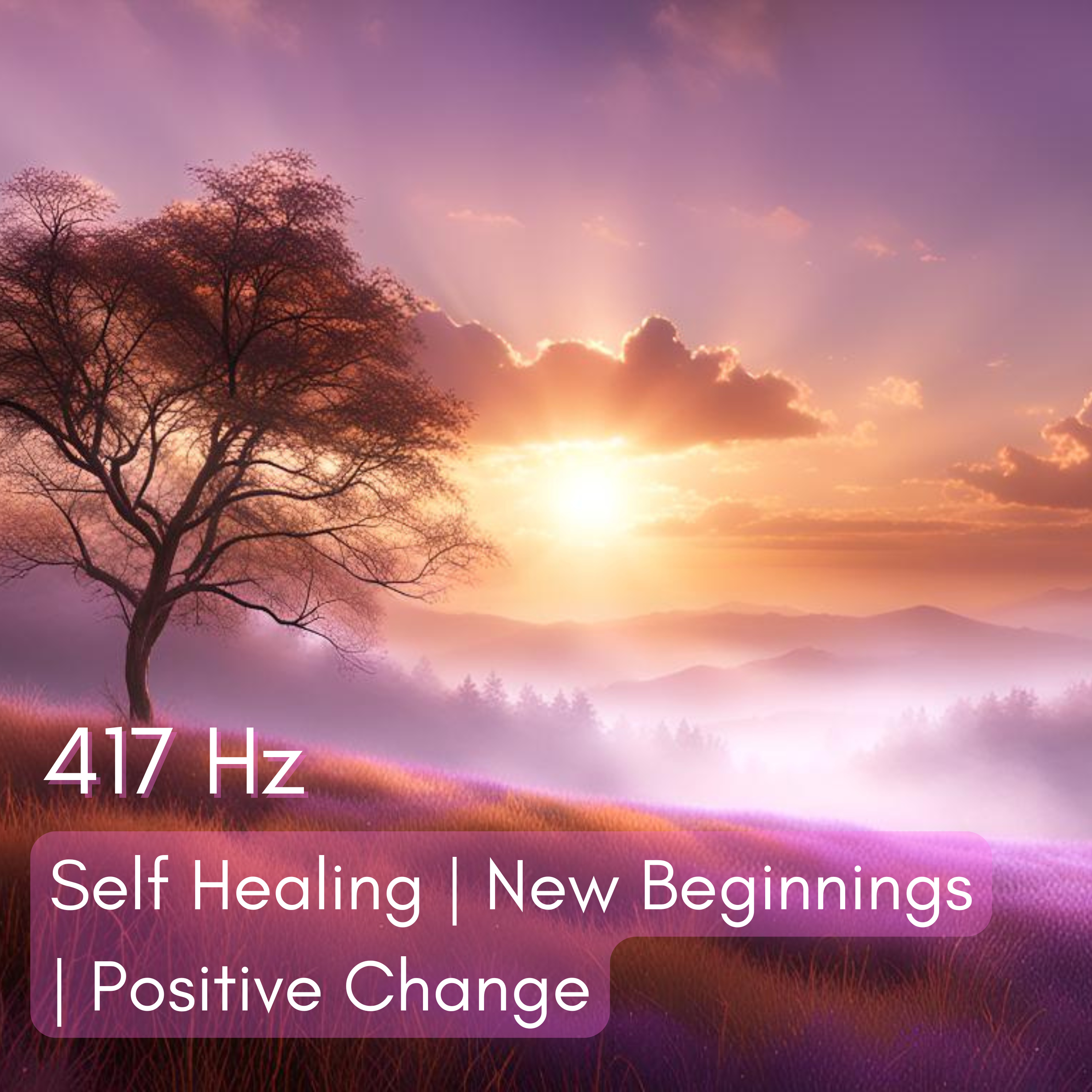 417 Hz Solfeggio Frequency (12 Hr) | Self Healing & Inner Renewal
