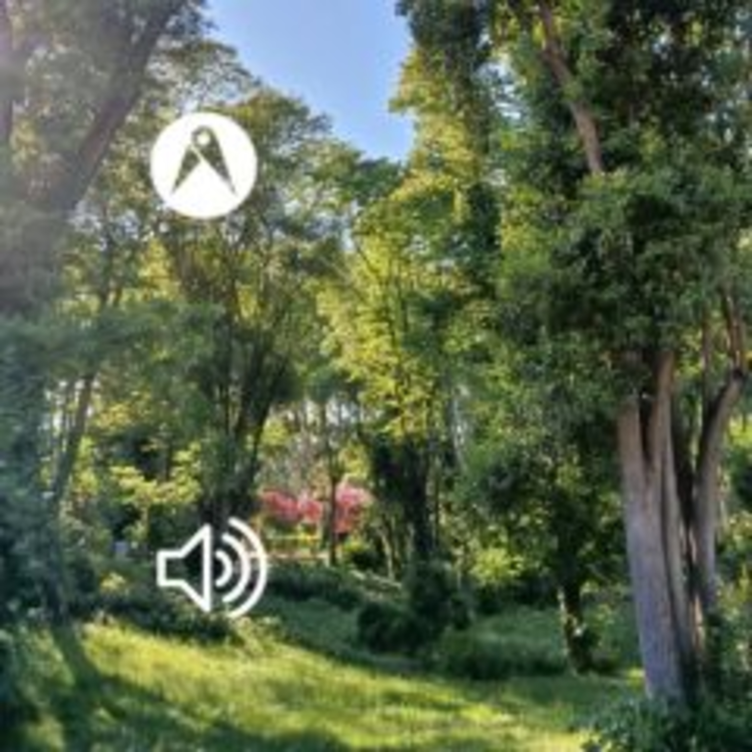 Episodio 136 | Jardines del Campo del Moro episode artwork