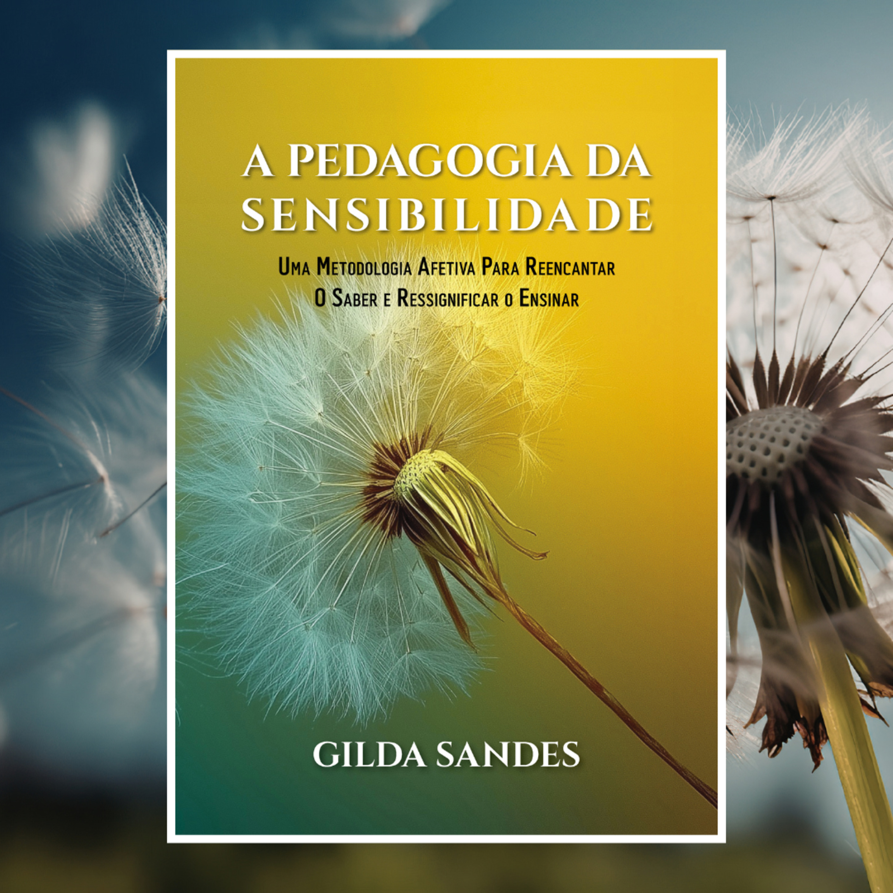 A Pedagogia da Sensibilidade episode artwork