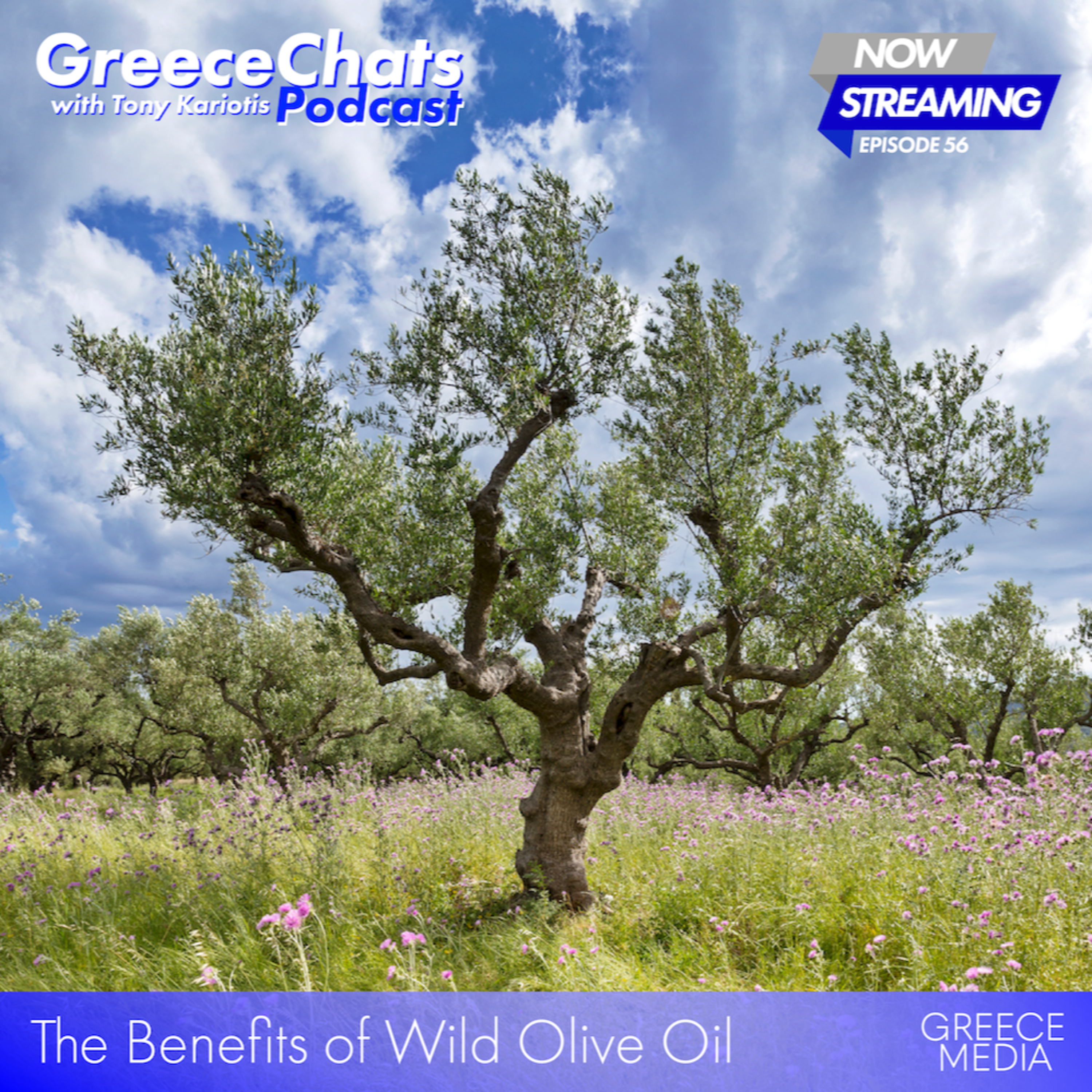 Greece Chats Podcast with Tony Kariotis