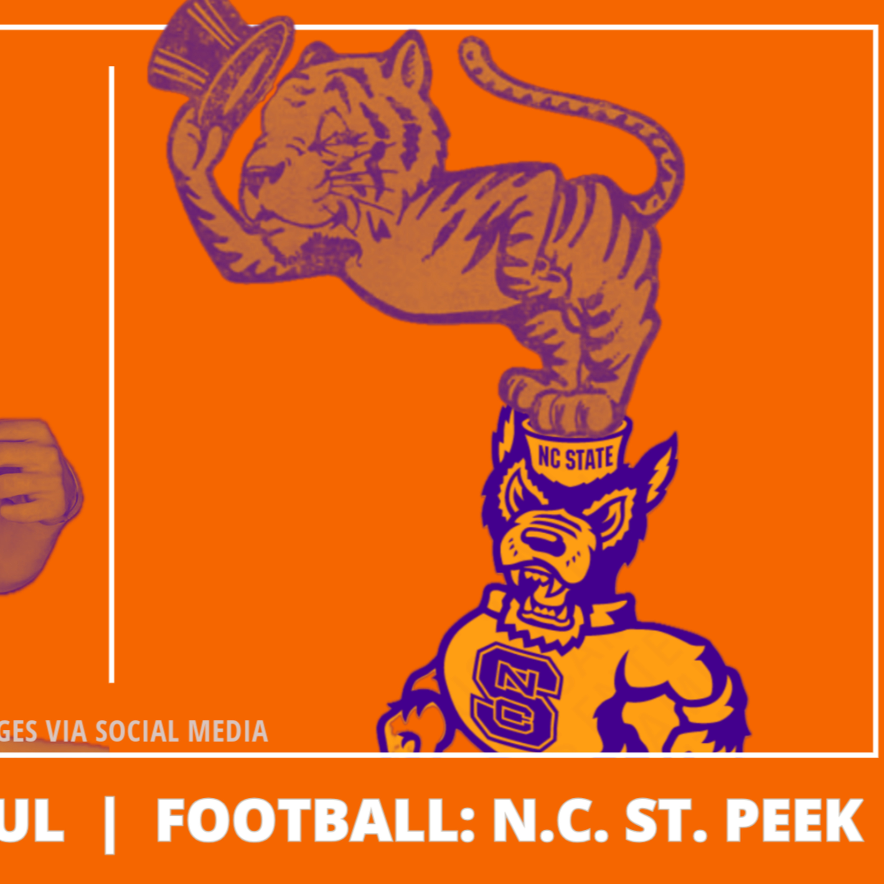 Reign Supreme Alway: Sports in Clemson