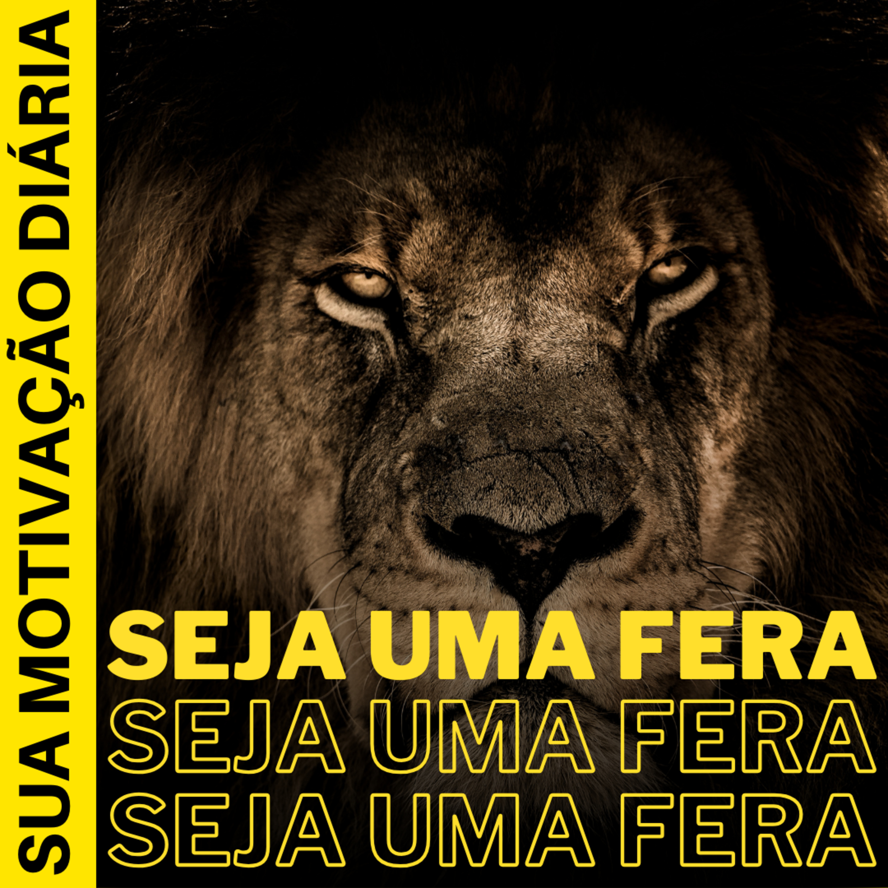 Sua Motivação Diária