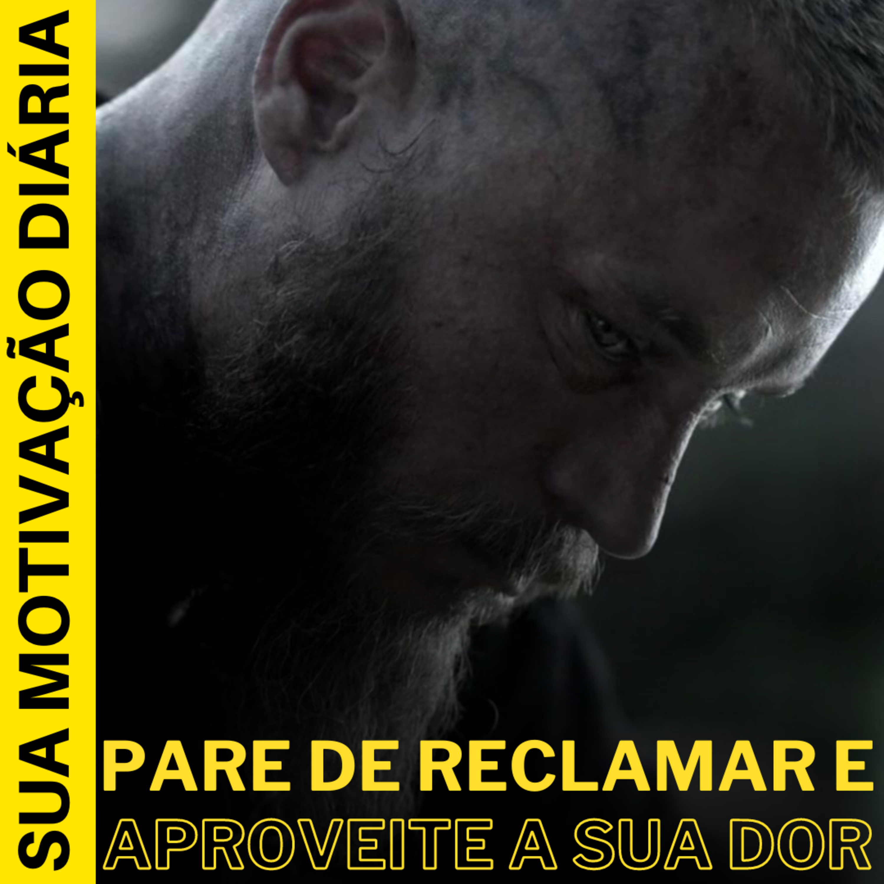 Sua Motivação Diária