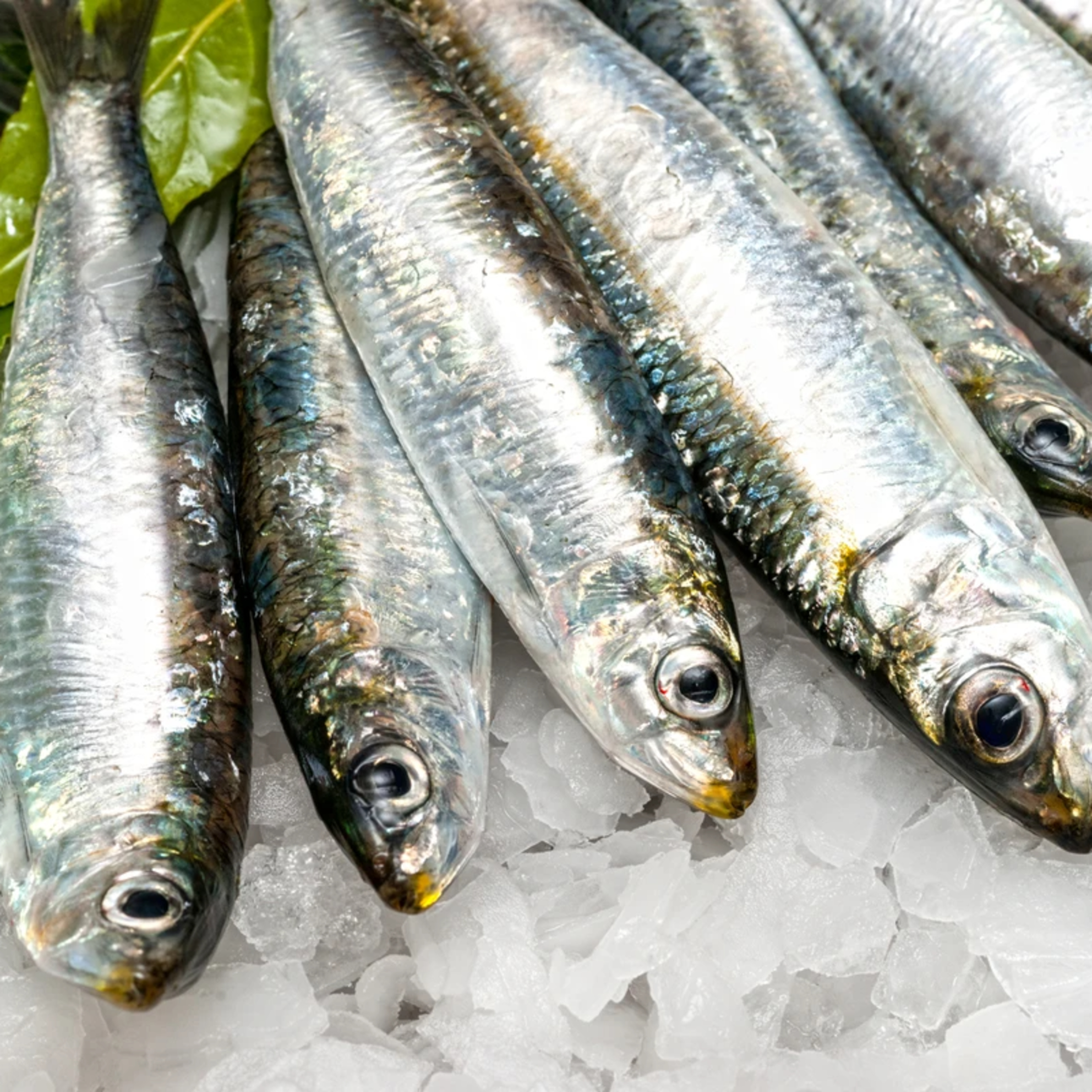 Doce e ácido: aprenda o preparo de sarde in saor