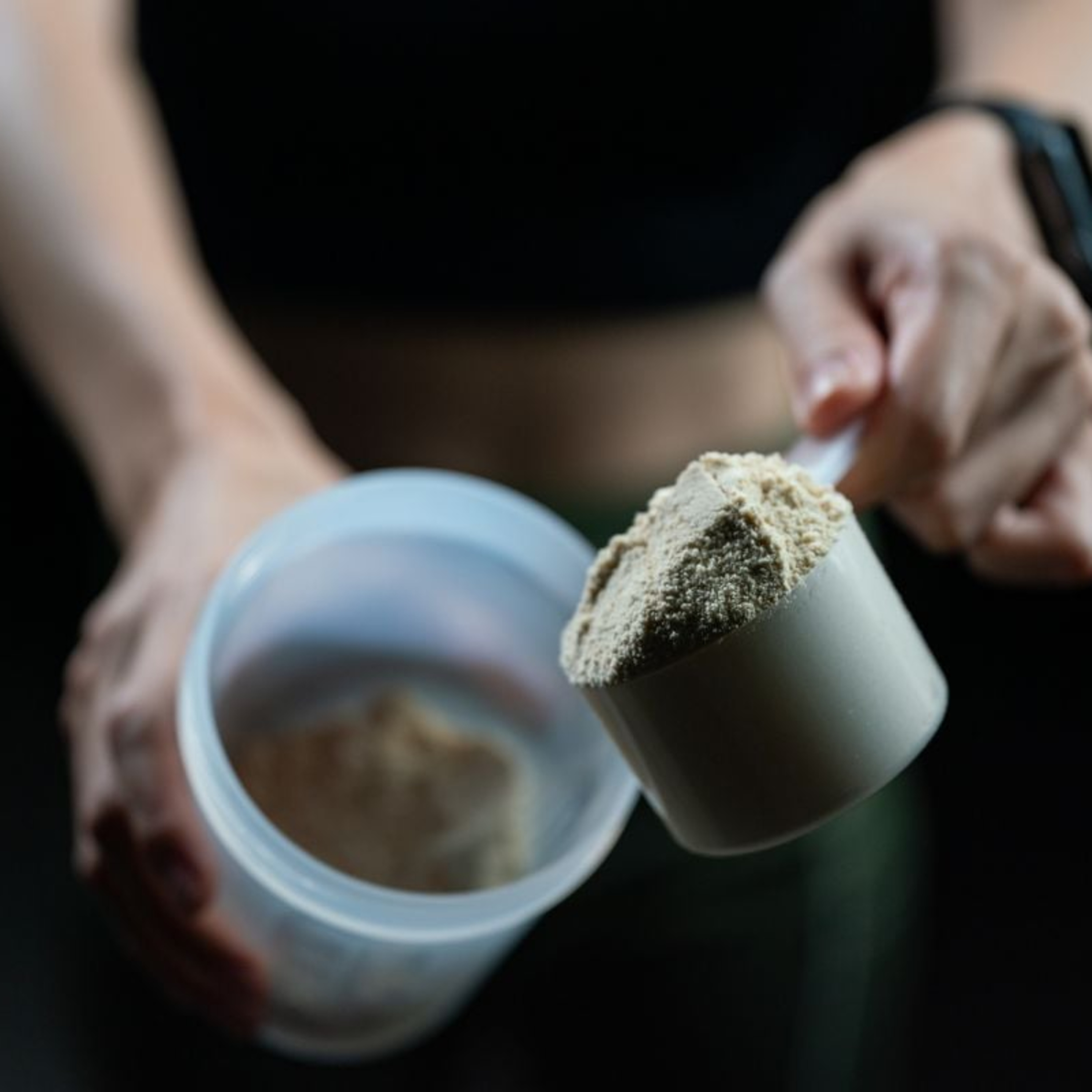 Whey protein, creatina e termogênicos: tudo o que você precisa saber sobre suplementação