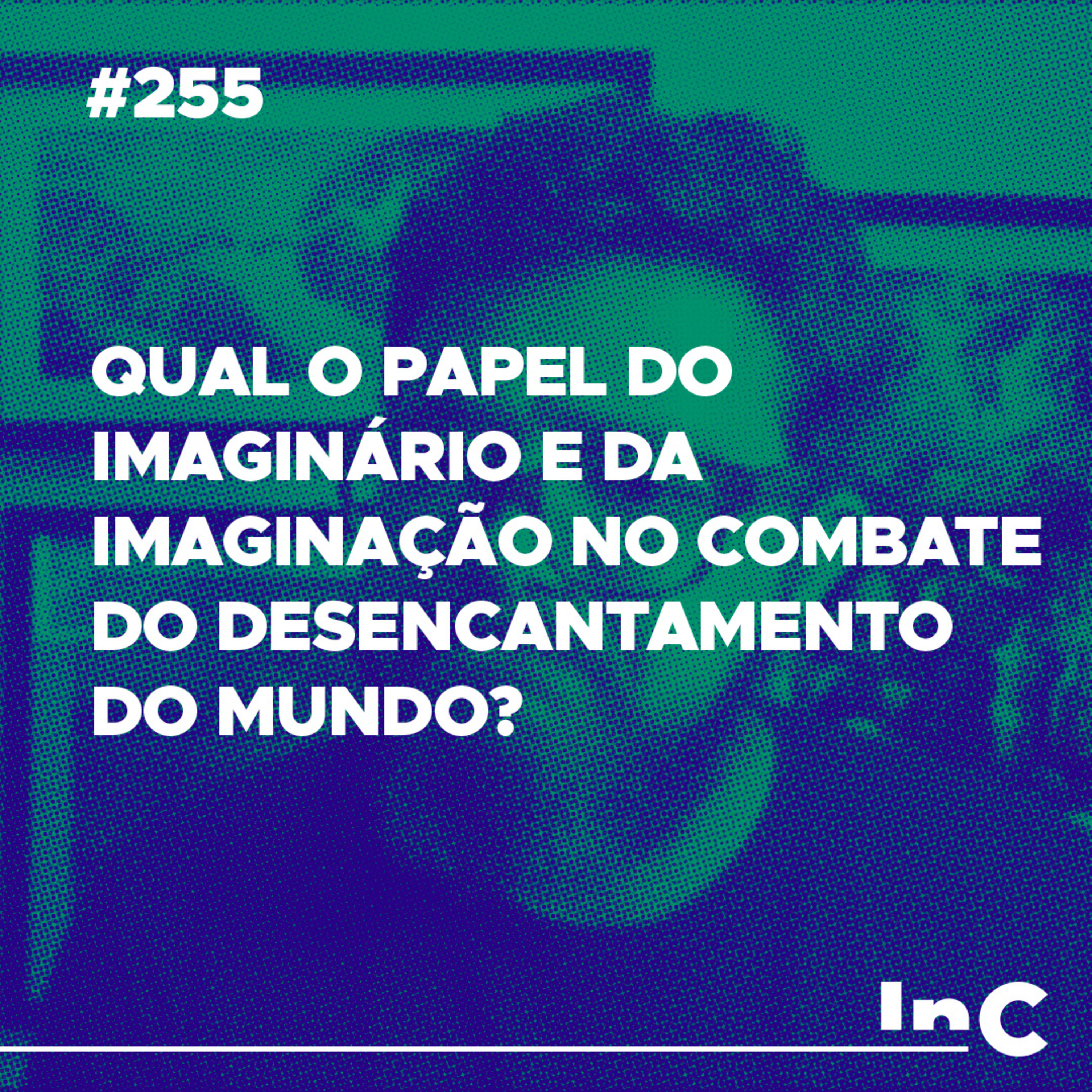 #255 - Qual o papel do imaginário e da imaginação no combate do desencantamento do mundo? c/ - Pedro Dulci episode artwork