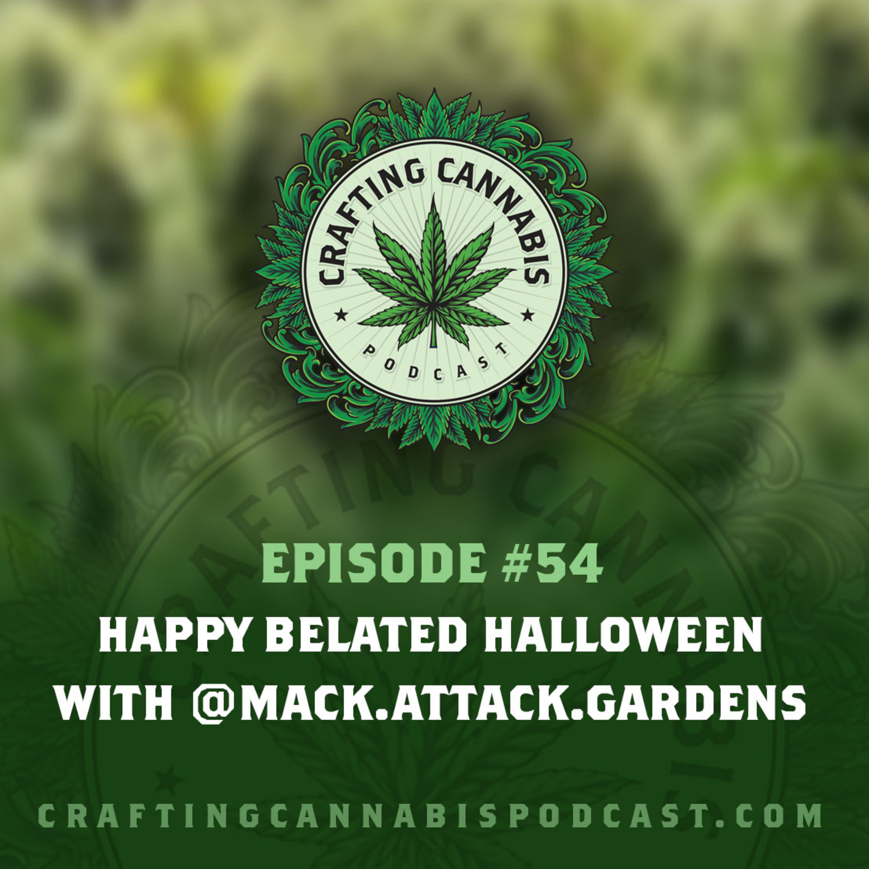 #54 - Happy Belated Halloween with @mack.attack.gardens
