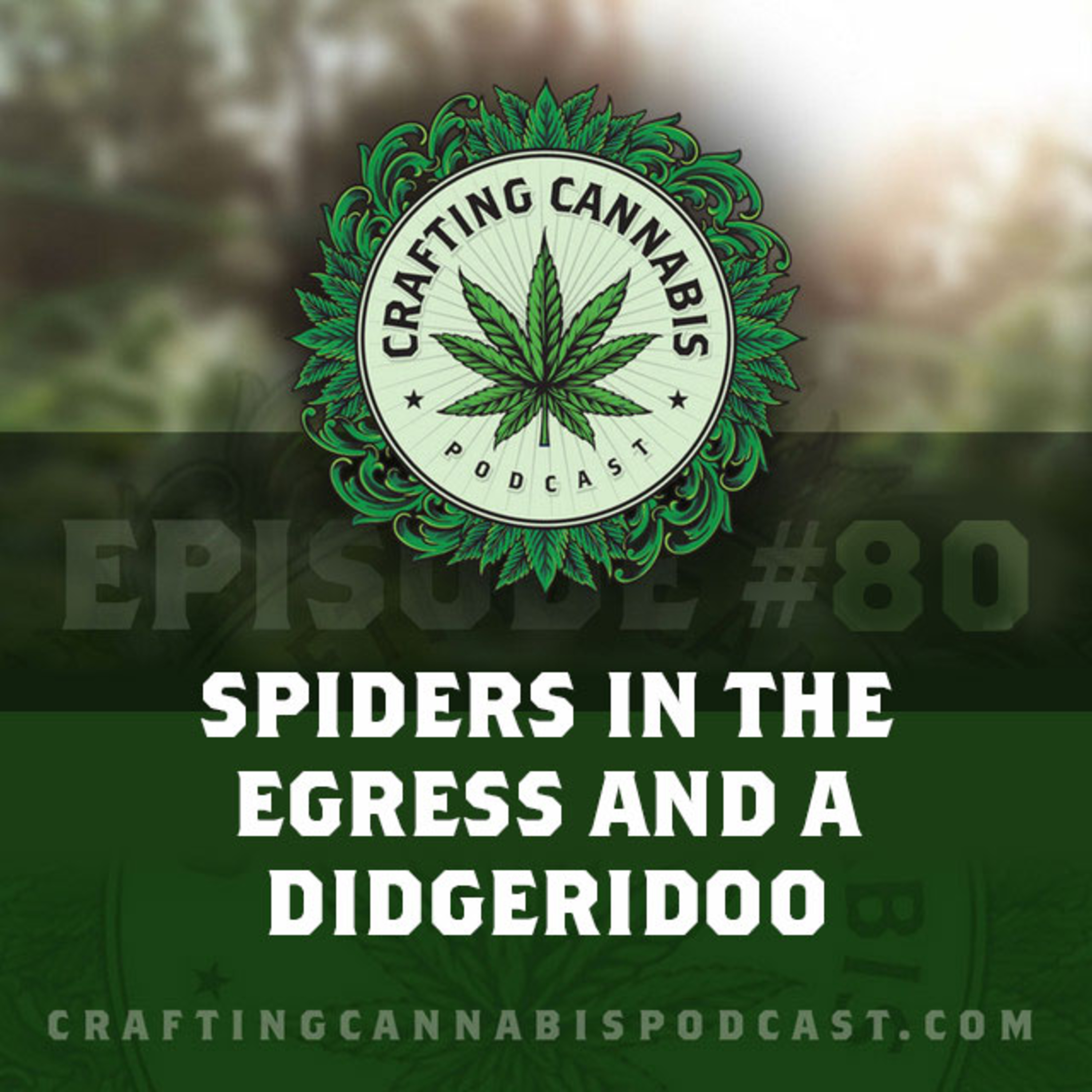 #80 - Spiders in the Egress and a Didgeridoo