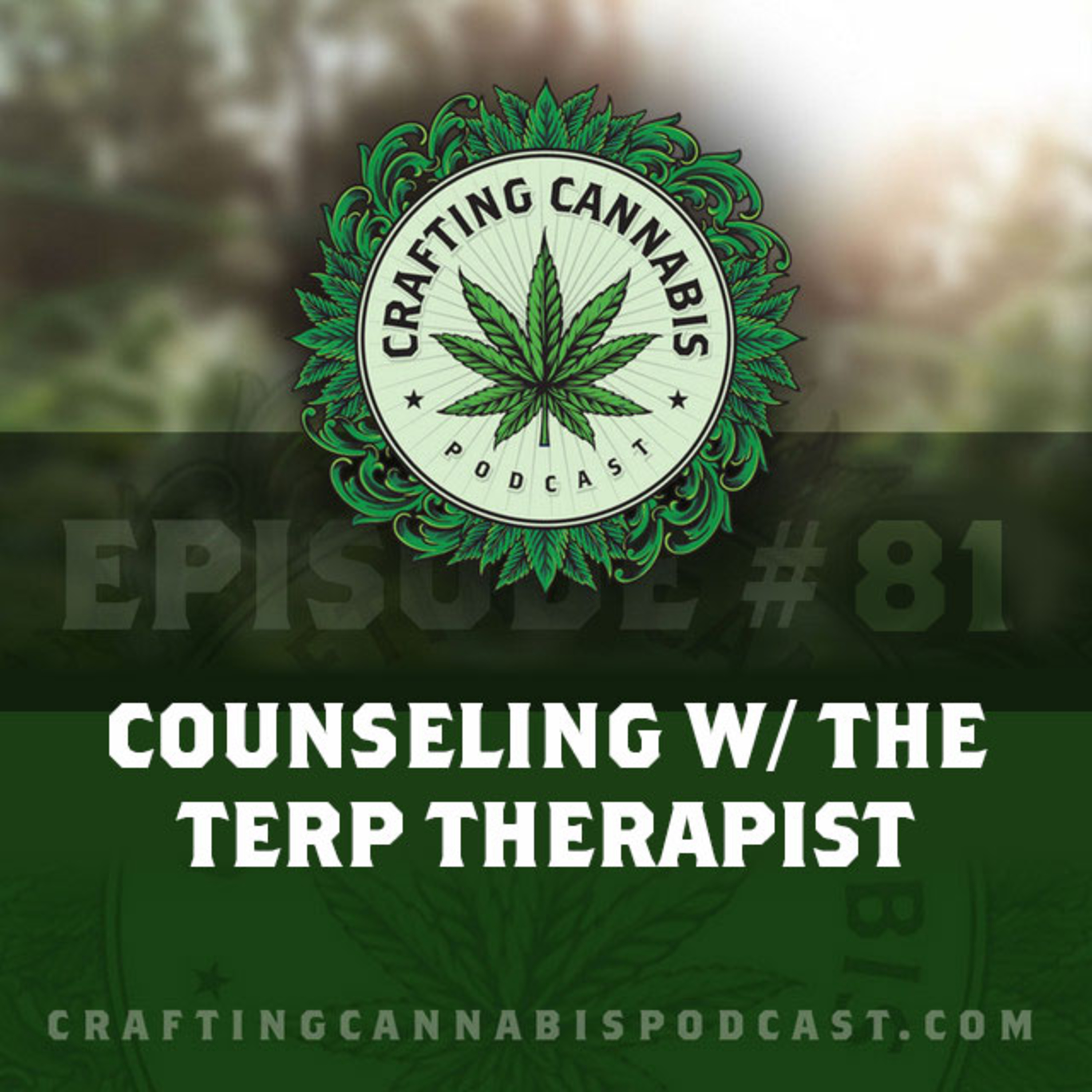 #81 - Counseling w/ The Terp Therapist