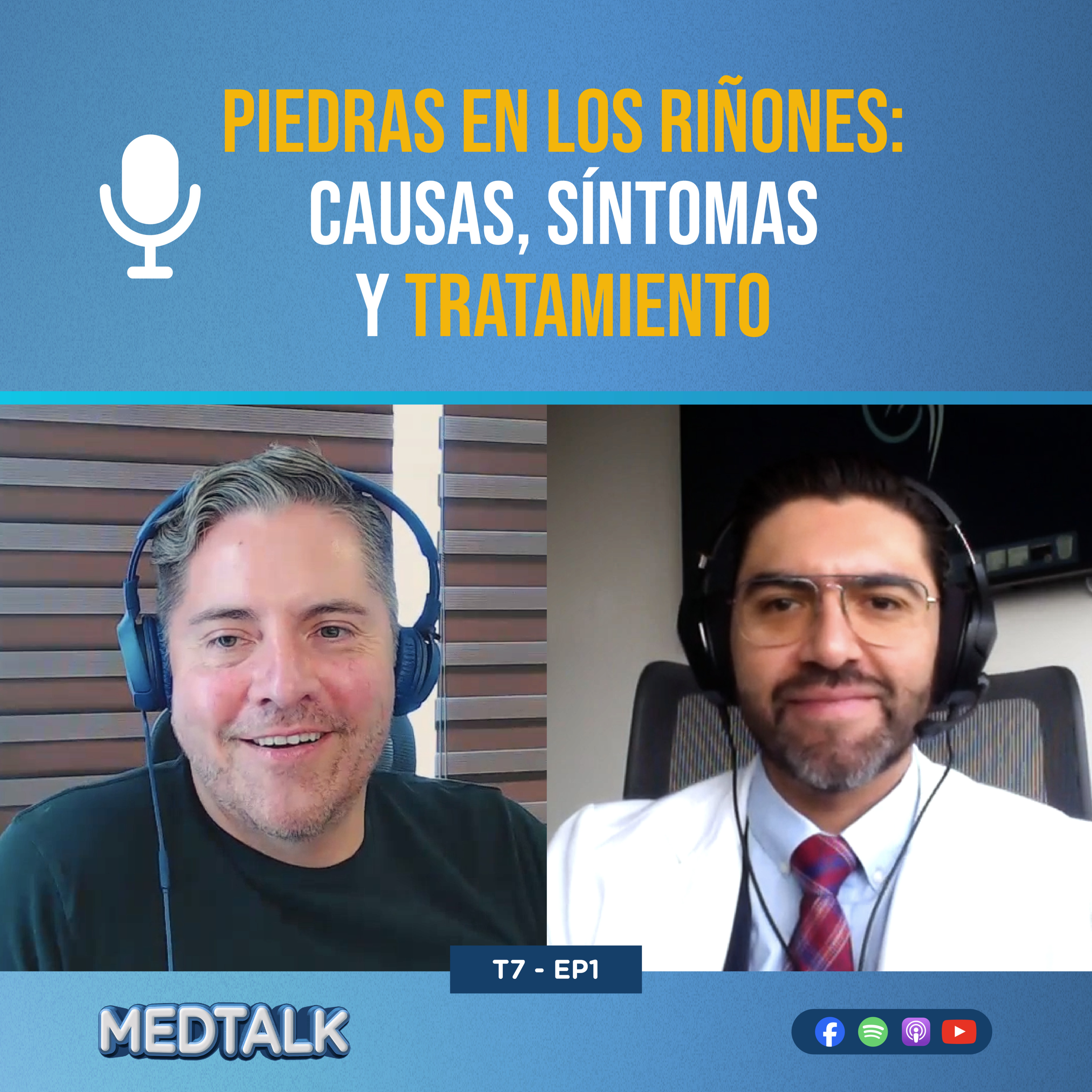 Piedras en los riñones: Causas, síntomas y tratamiento – MedTalk ...