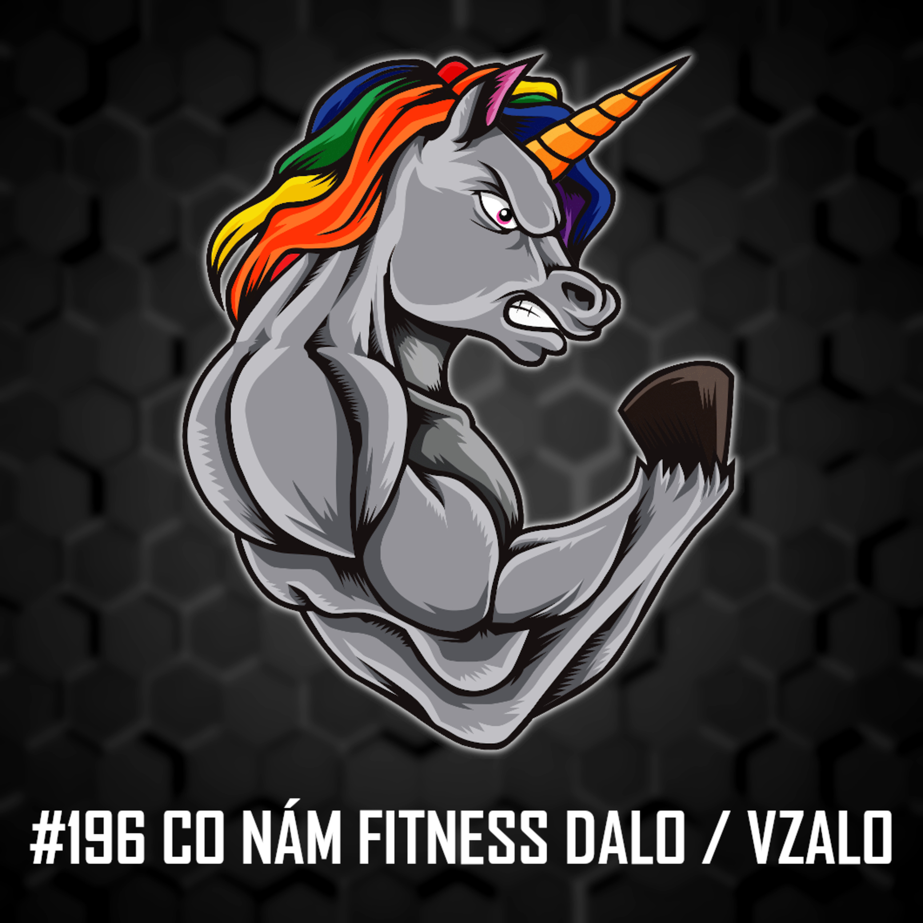 #196: Co nám fitness dalo a vzalo - Jak se náš život změnil od začátku naší fitness cesty? episode artwork