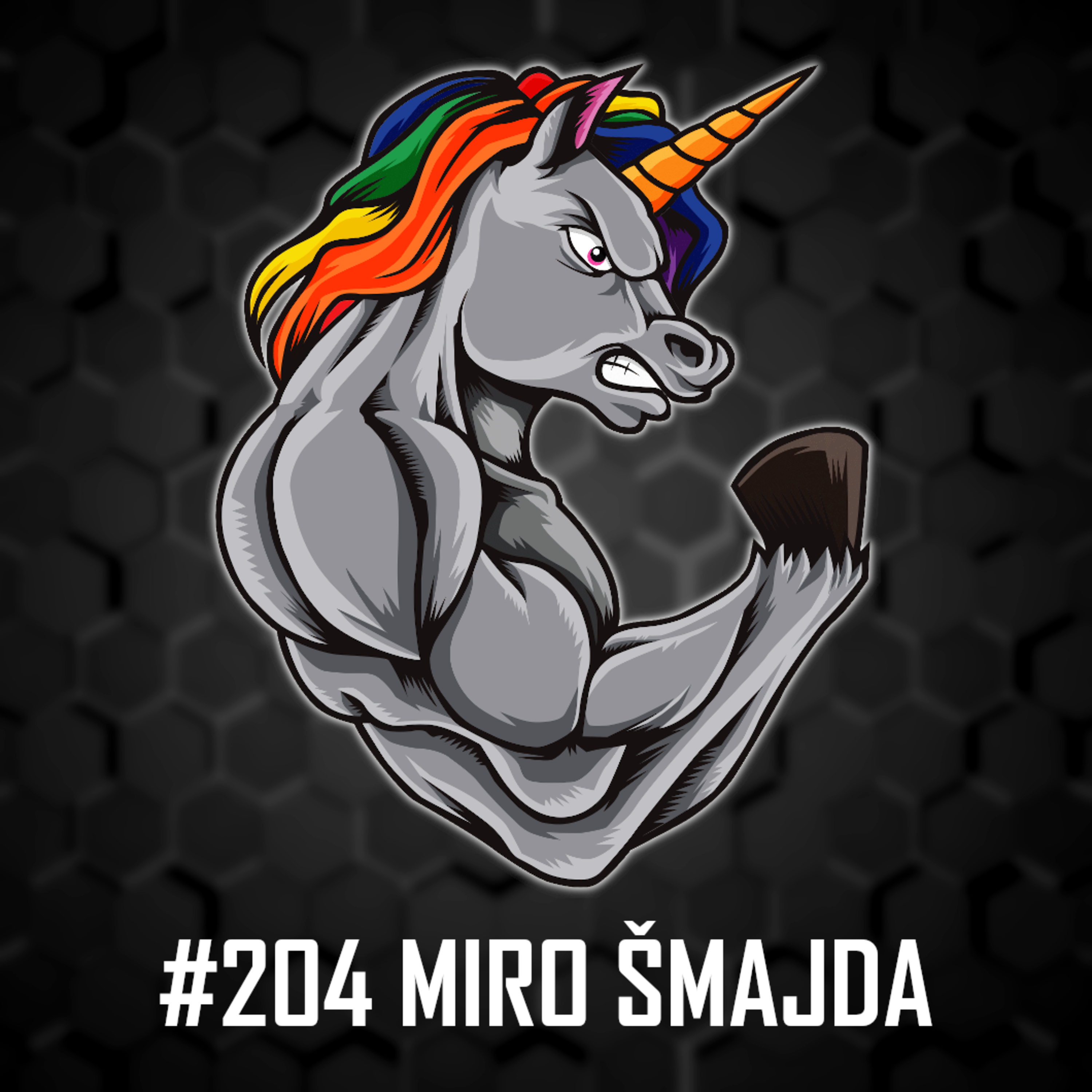 #204: Miro Šmajda - Hudba, Fitness, Veganství, Gaming, Fake news a mnohem více! episode artwork