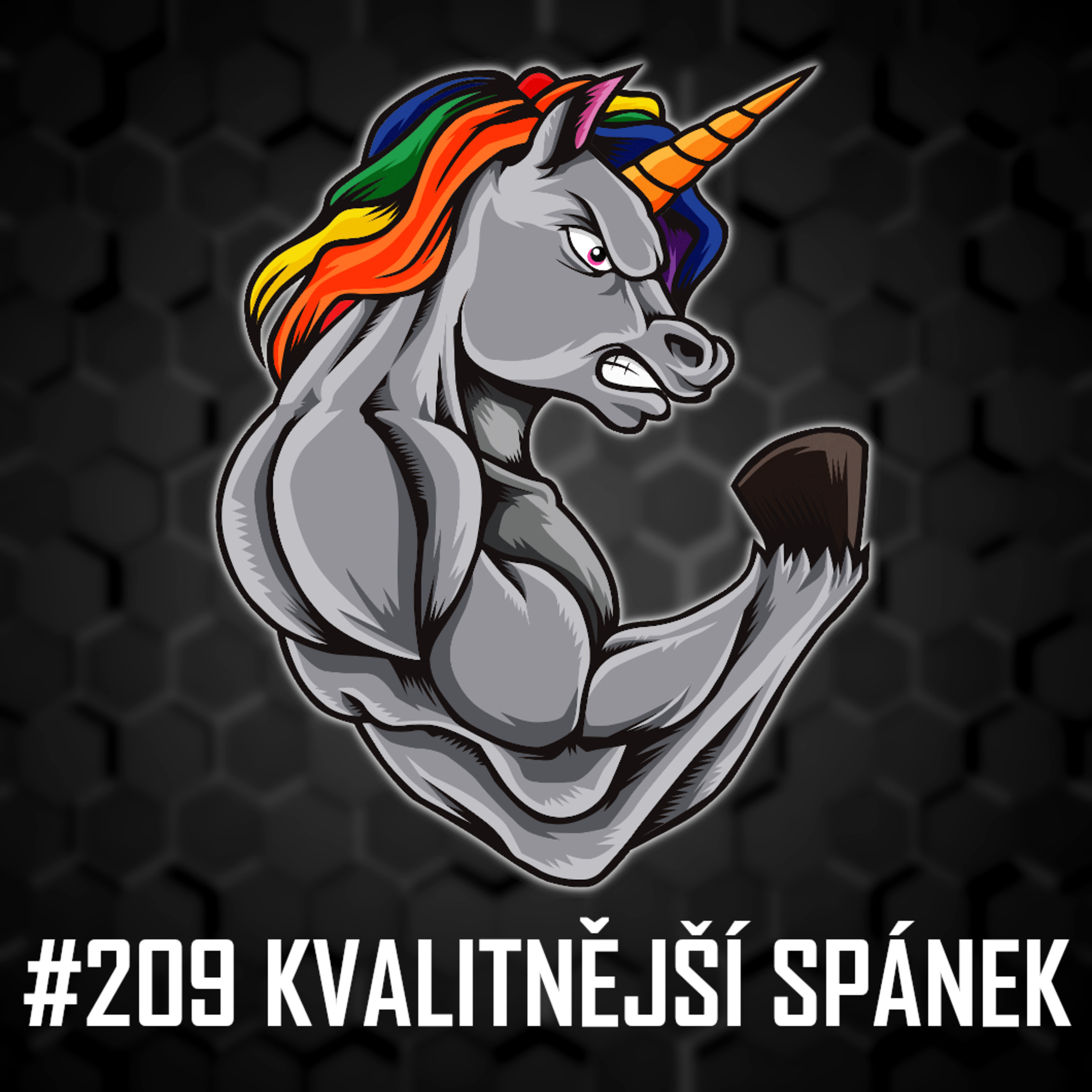 #209: Kvalitnější spánek - Tipy pro rychlejší usínání a lepší kvalitu spánku, Lifestyle, Suplementace, Biohacking episode artwork