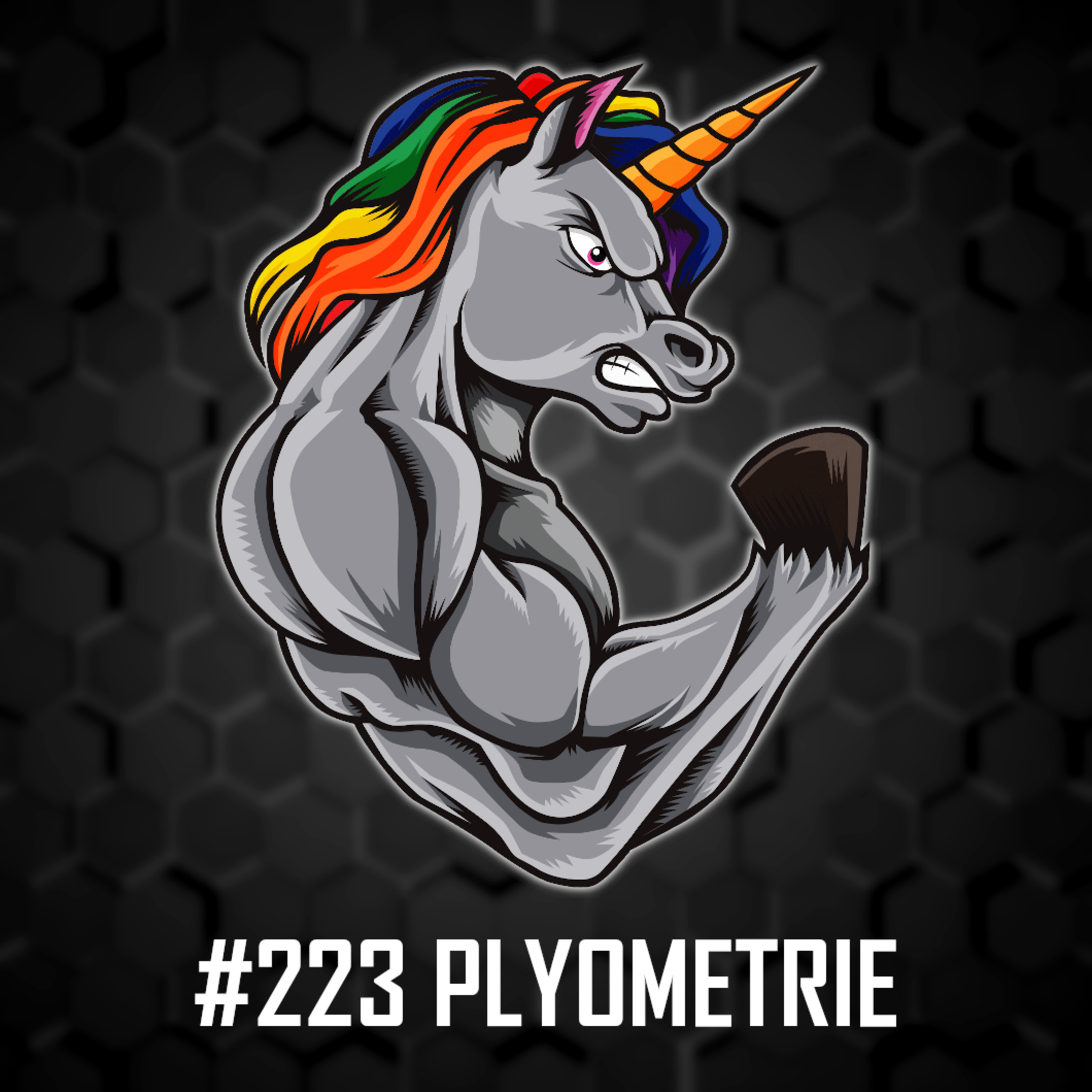 #223: Plyometrie - Pro koho je vhodná? Jak ji zařadit do tréninku? Plyometrické cviky podle cíle a mnohem více!  episode artwork