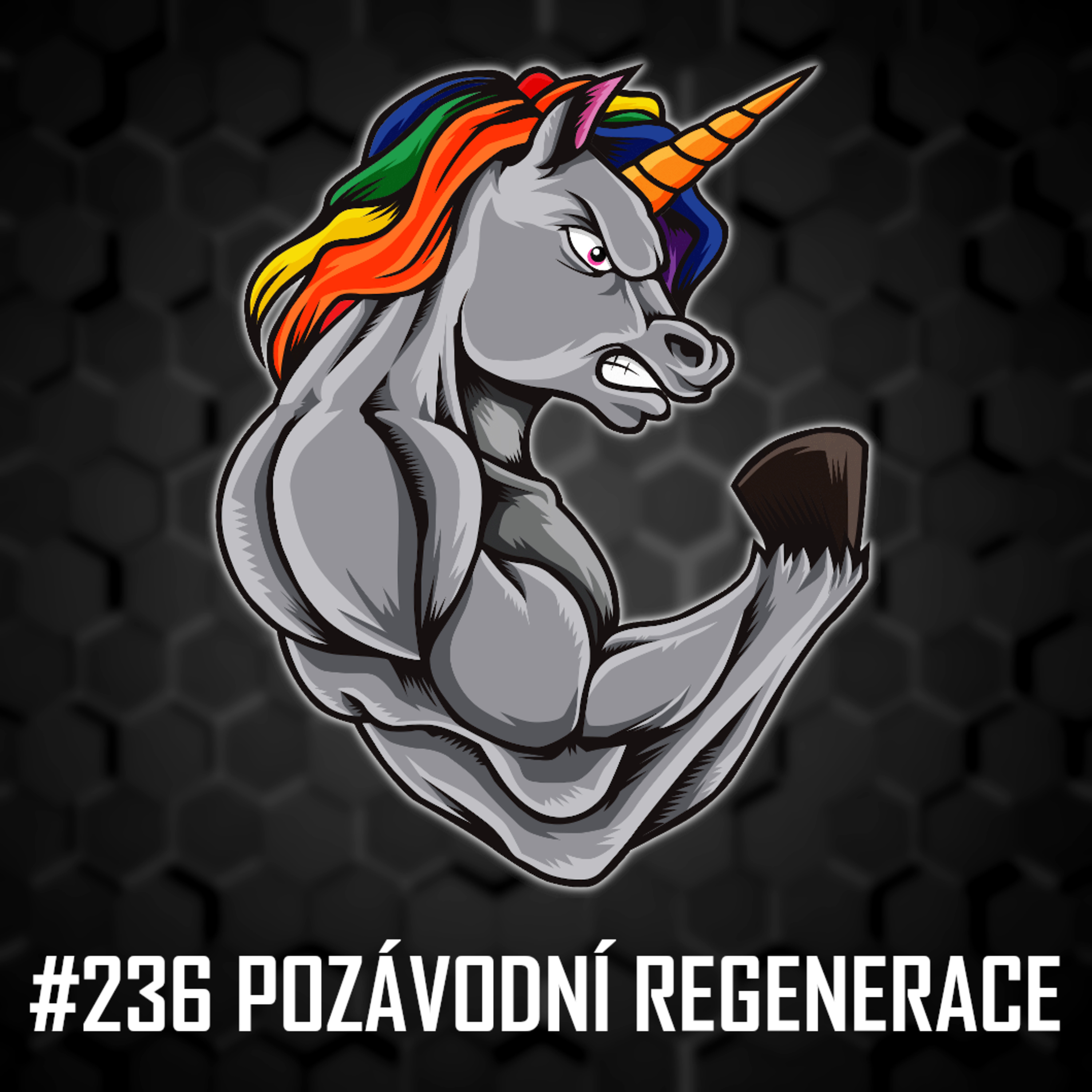 #236: Regenerace po soutěži, mezisoutěžní období - Jaký přístup zvolit? episode artwork