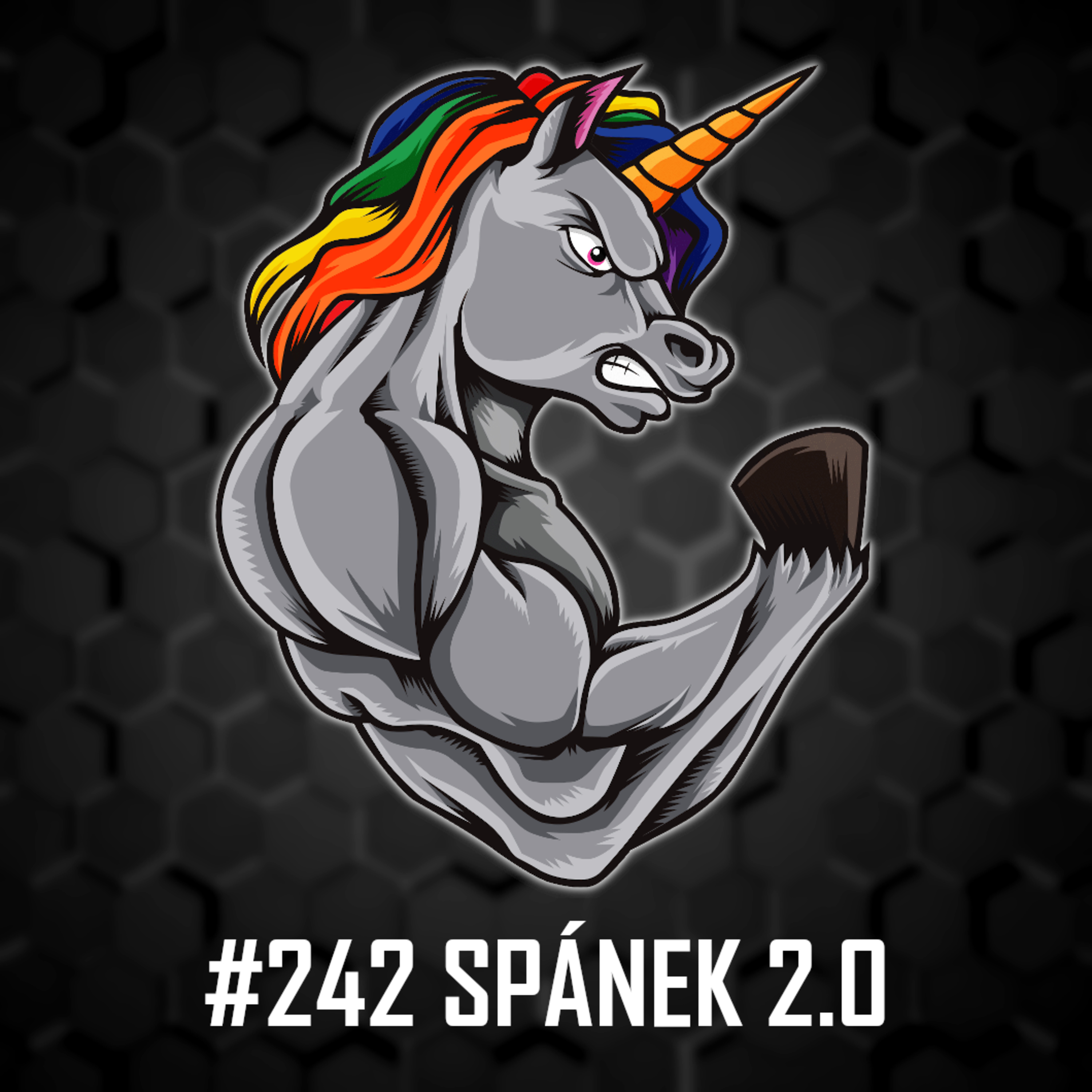 #242: Spánek 2.0 – Jak vyřešit problémy s kvalitou a nedostatkem spánku episode artwork