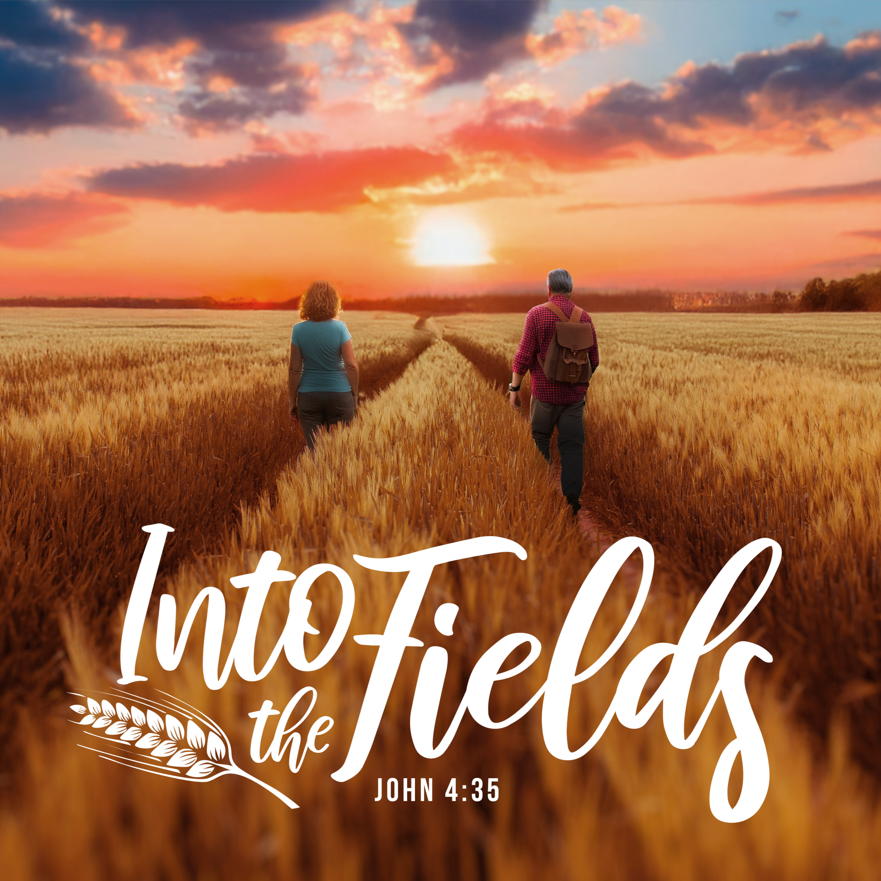 Into the fields episode artwork