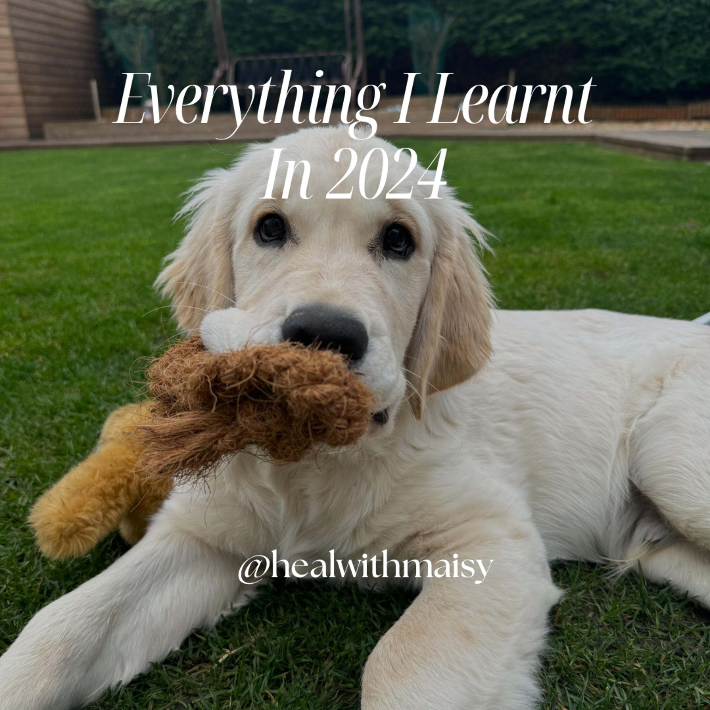 Everything I Learnt In 2024 episode artwork